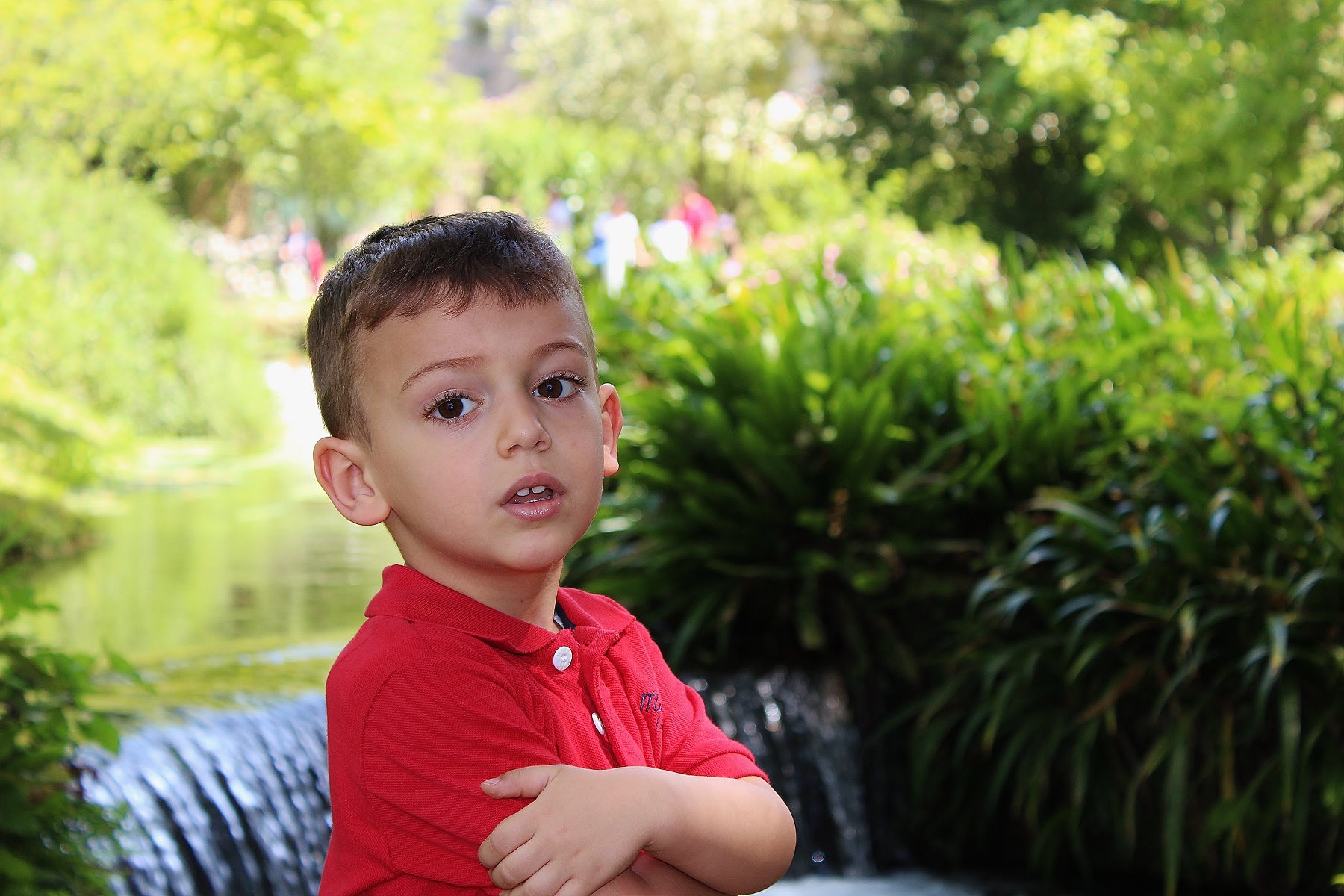 Non mi muovo di qui !!!!