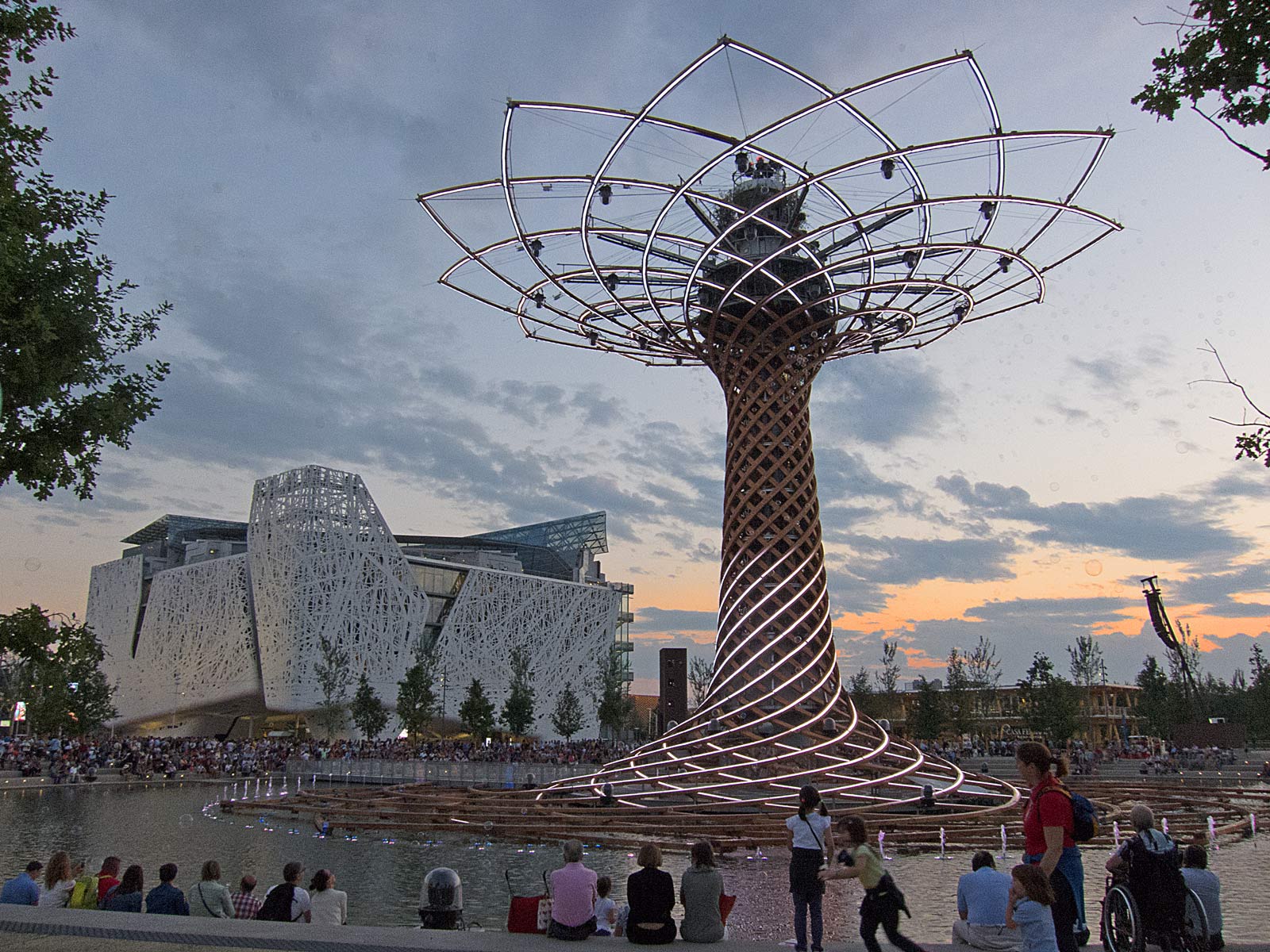 The allbero of life at sunset.