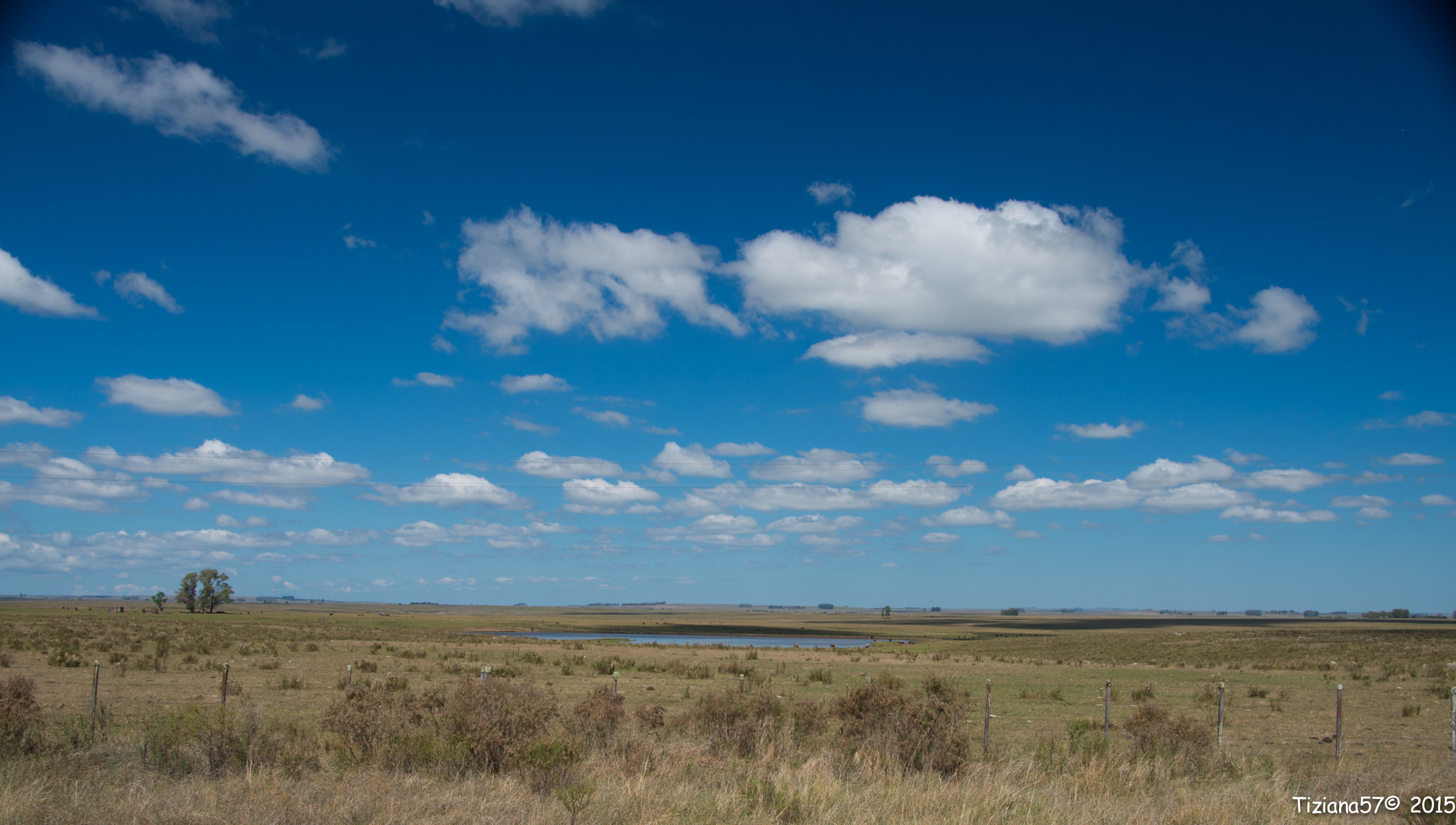 Along the road to Artigas (Uruguay)