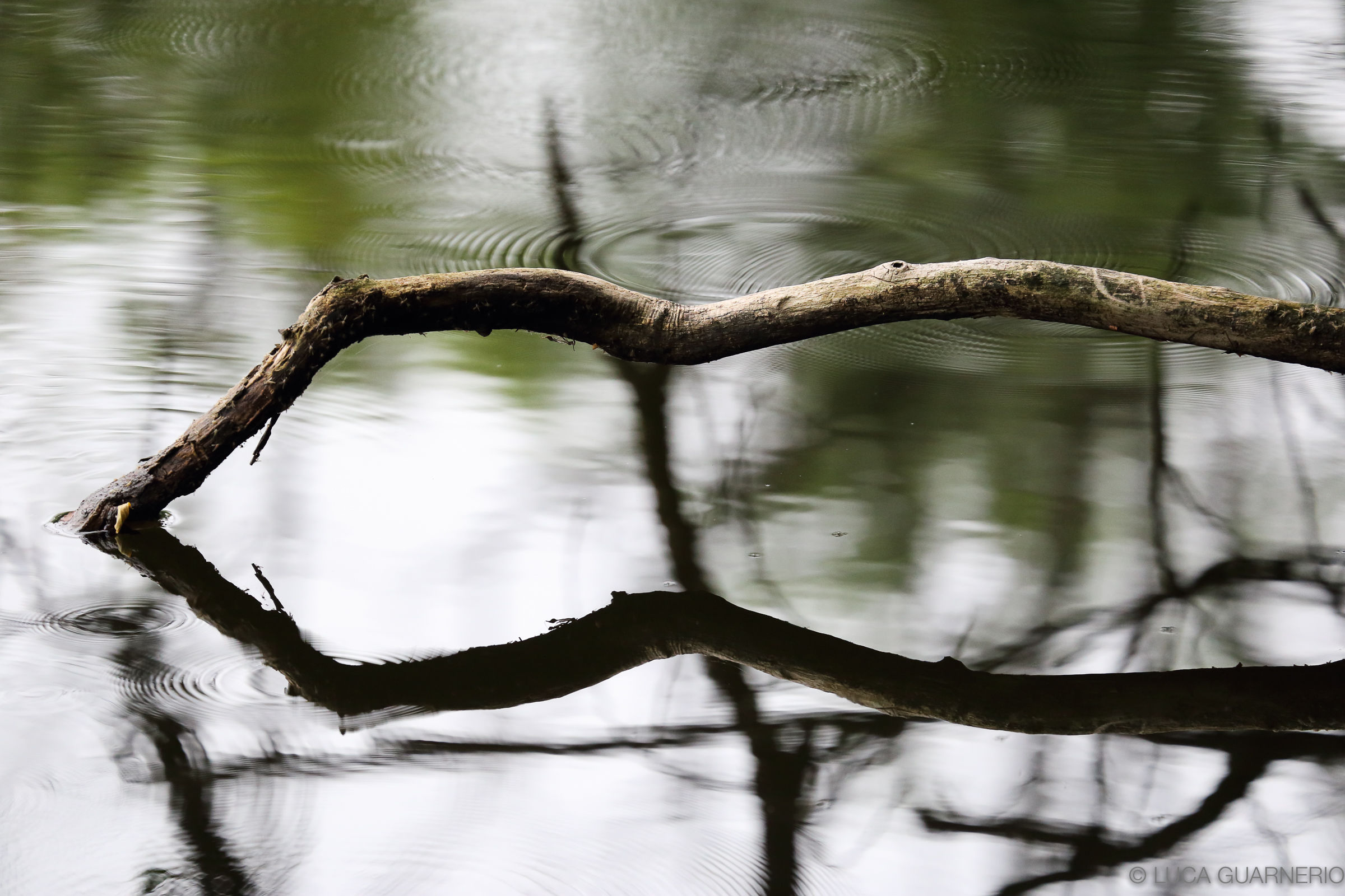 i laghetti monte orfano