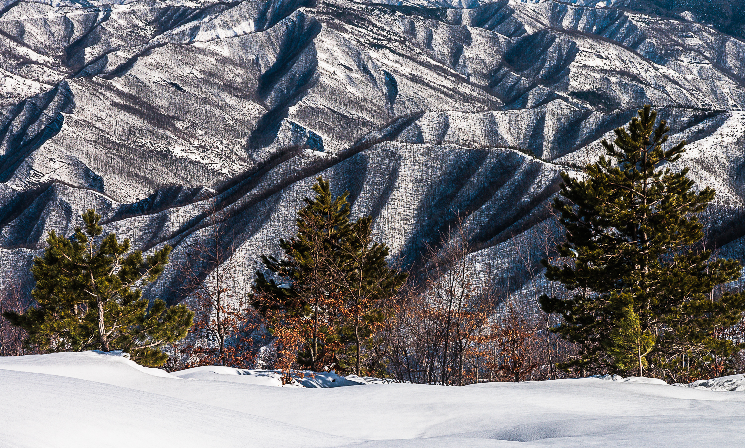 Vista sui crinali innevati