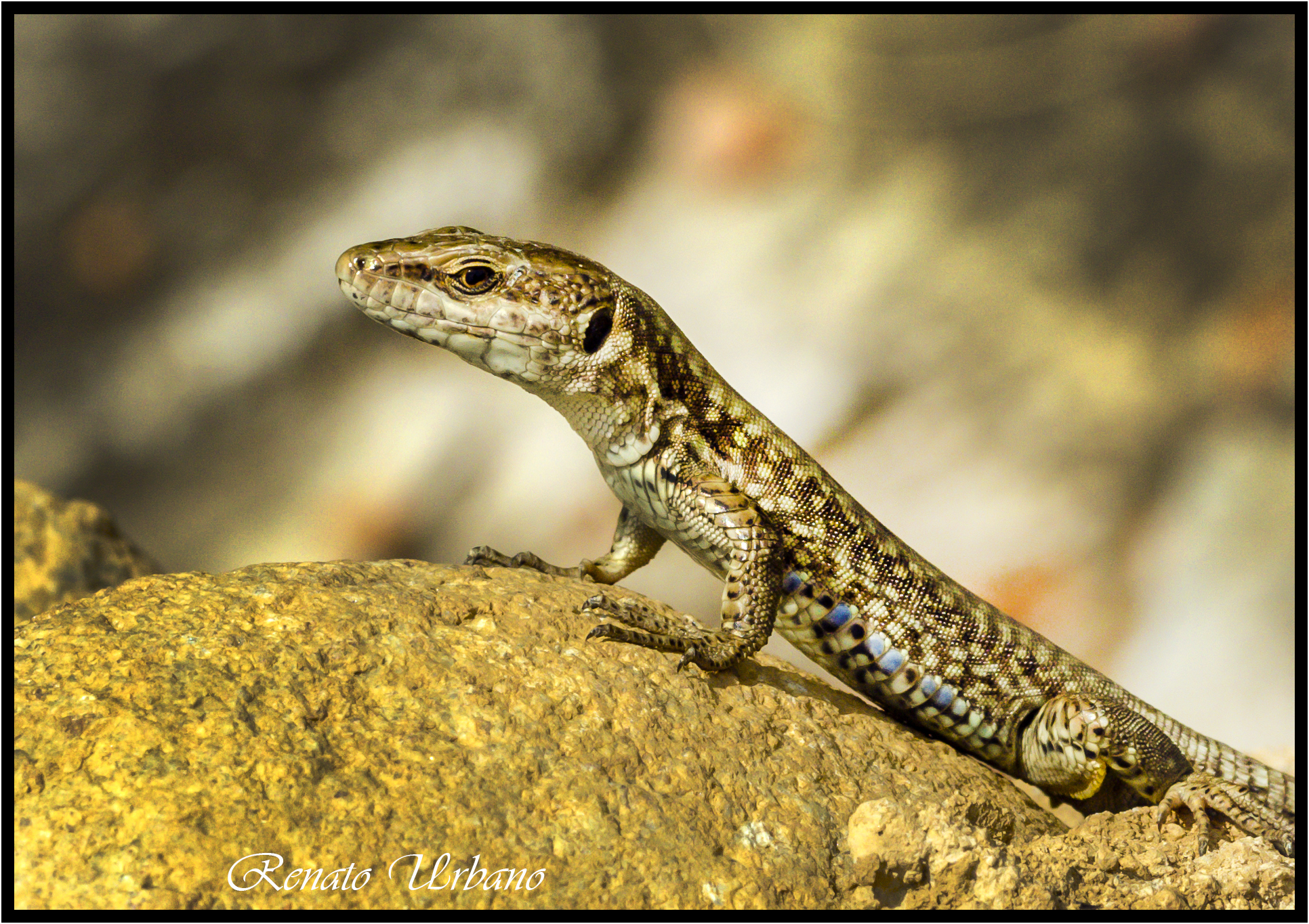 I'm keeping an eye ... be careful