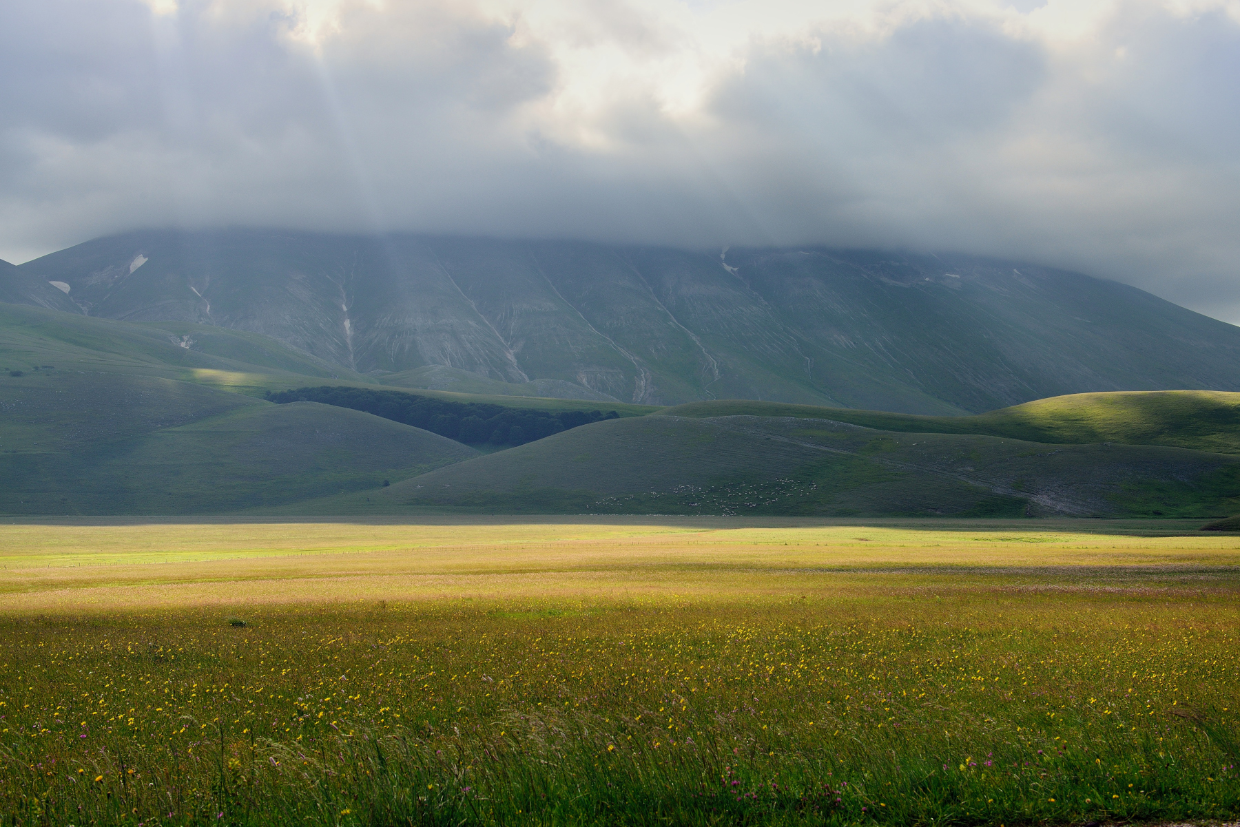 Mount Carrier under the clouds
