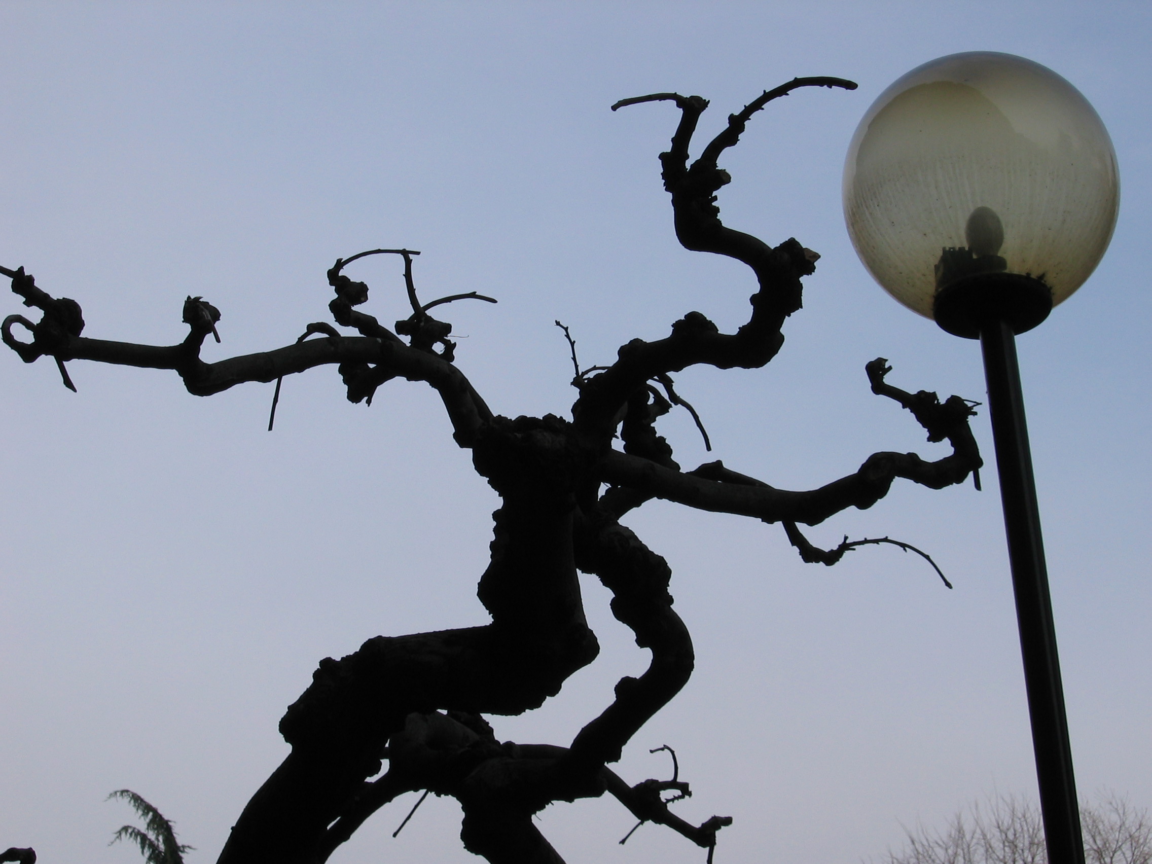 Se ti prendo!!!!.....