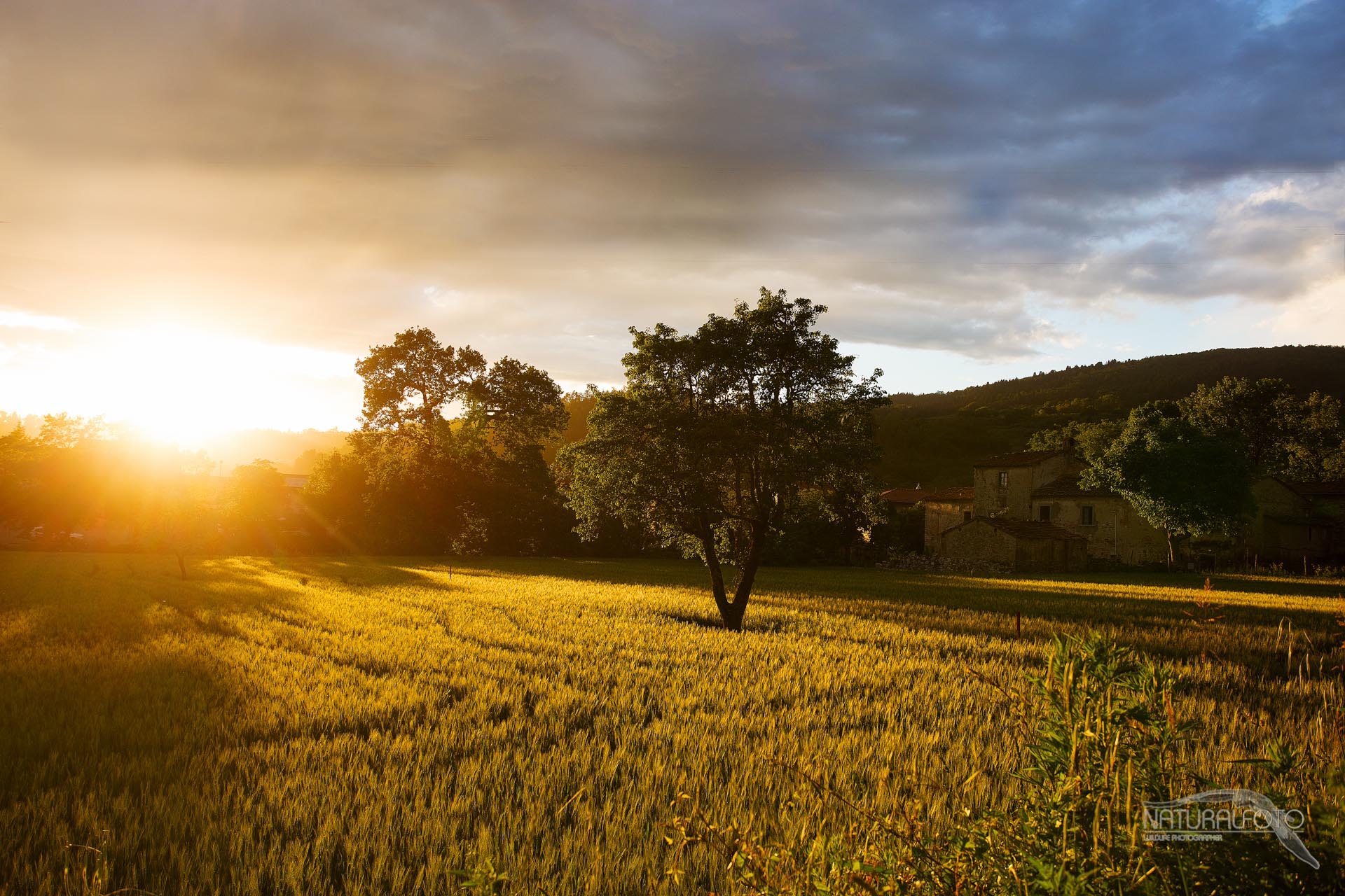 Place unknown: D beautiful light;)