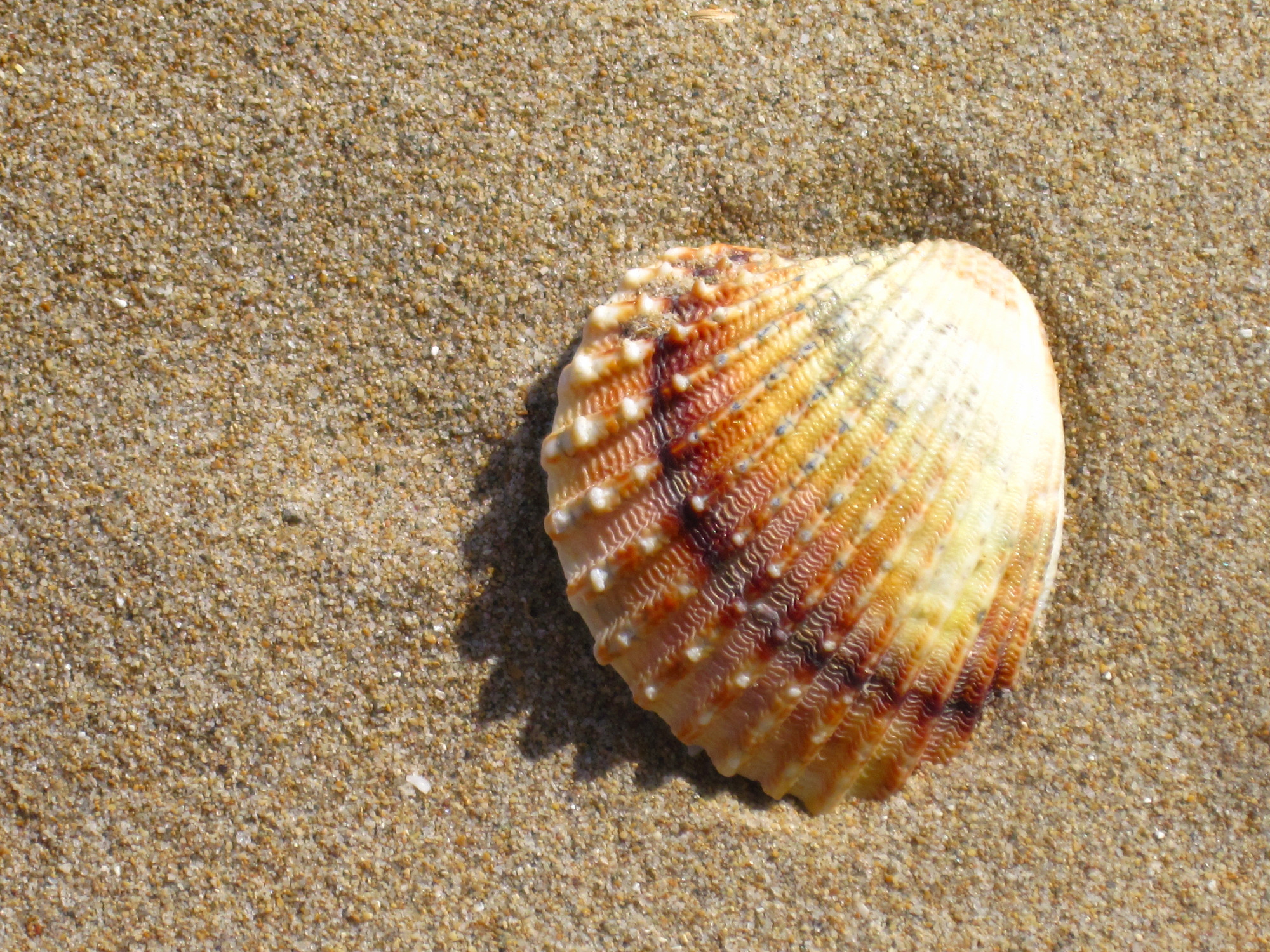 Una cartolina dal mare.