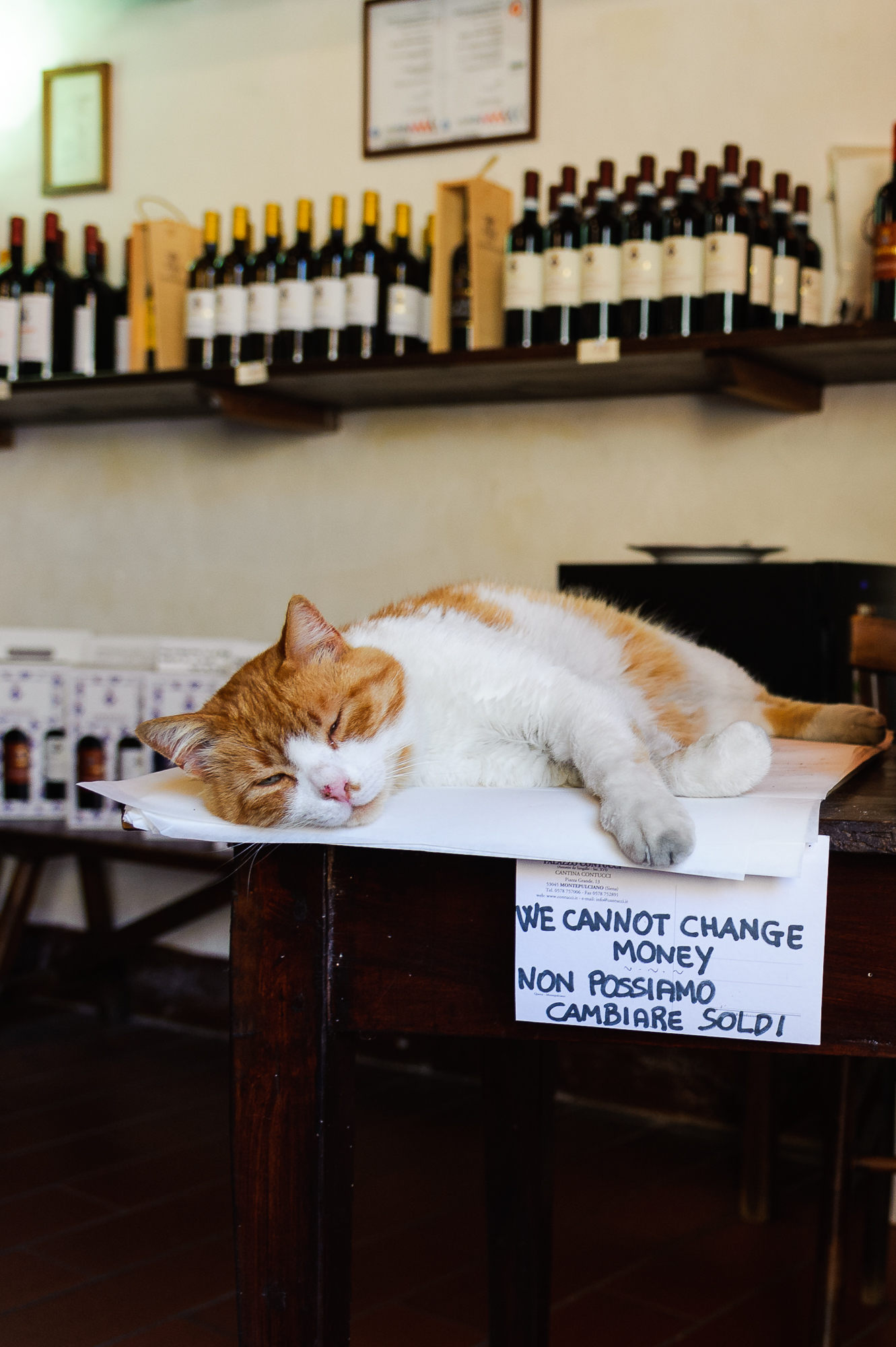 We can not change money, Because We are sleeping!