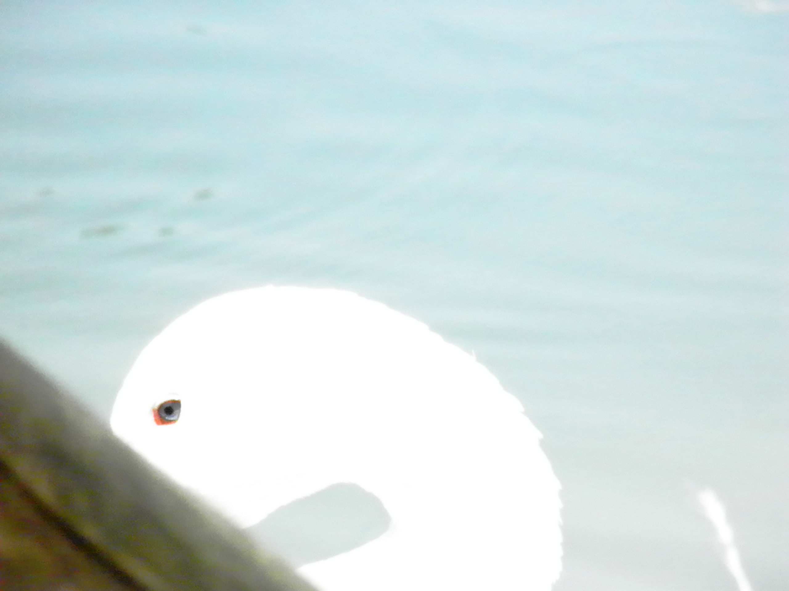 Petronà, Catanzaro-sila