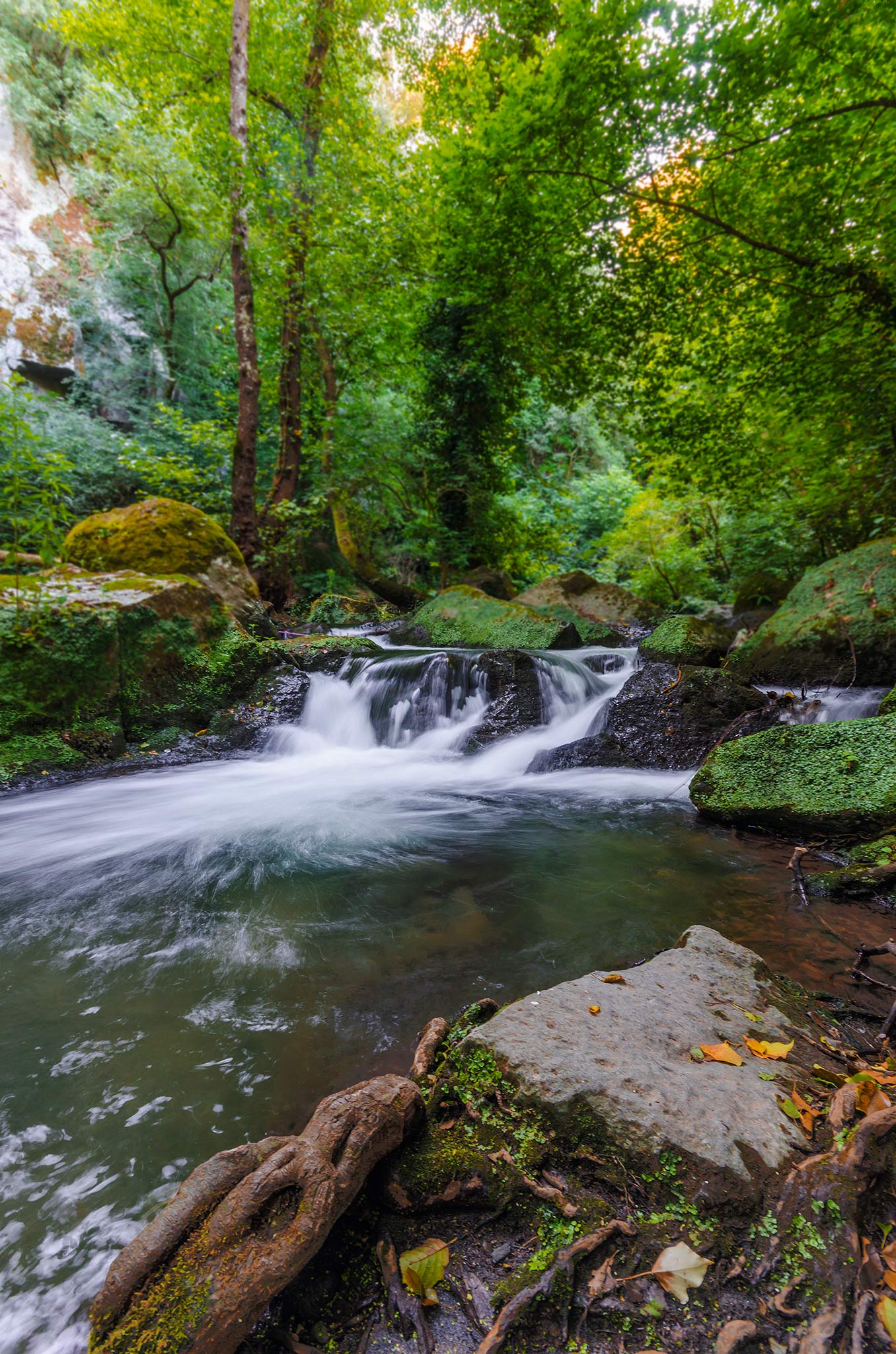 Waterfall (Monte Gelato)
