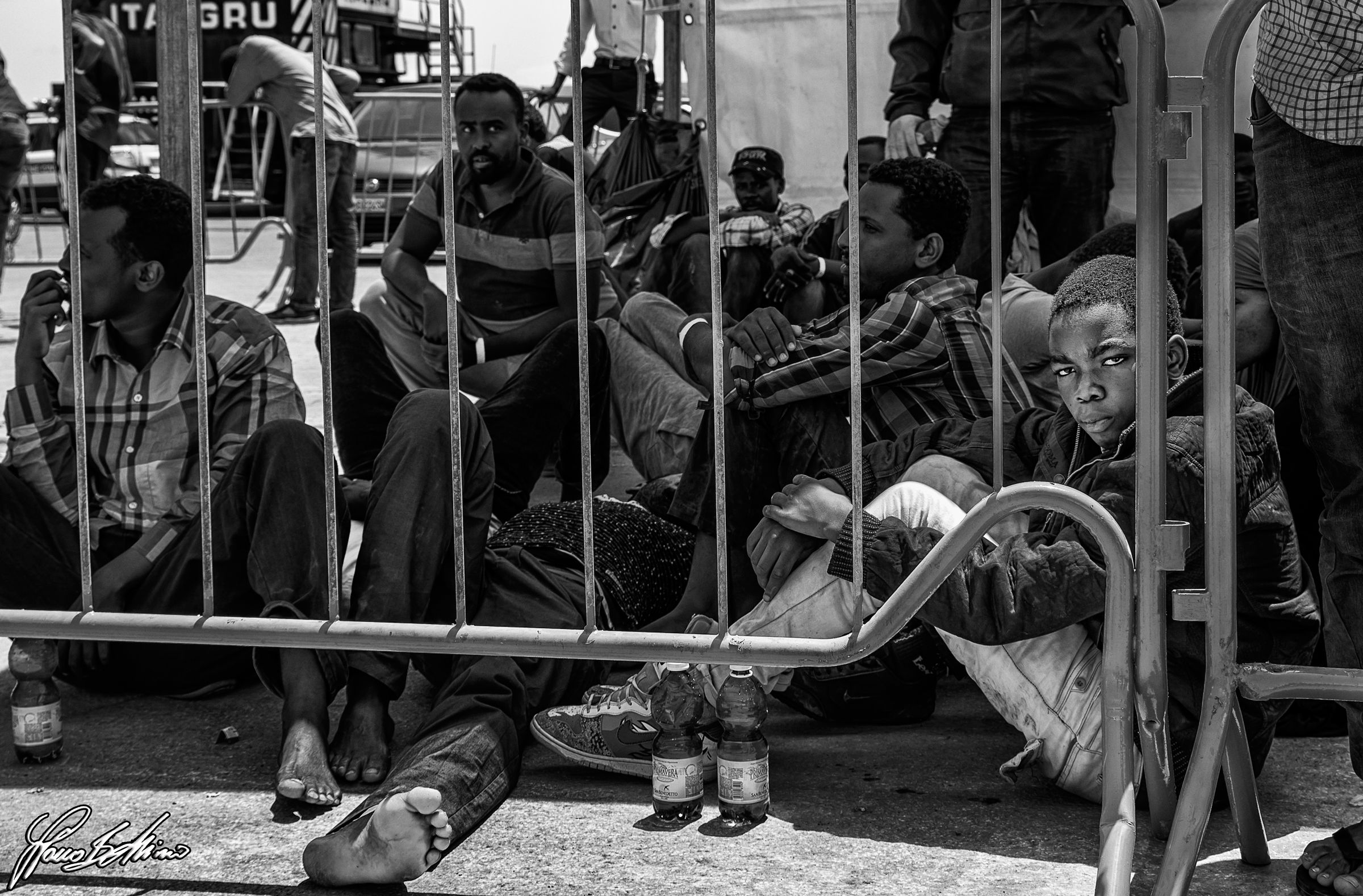 The peranza is the last to die