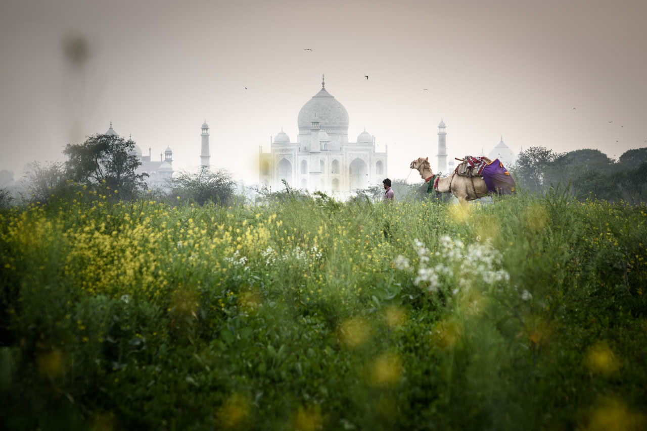 Taj Mahal, India 2015