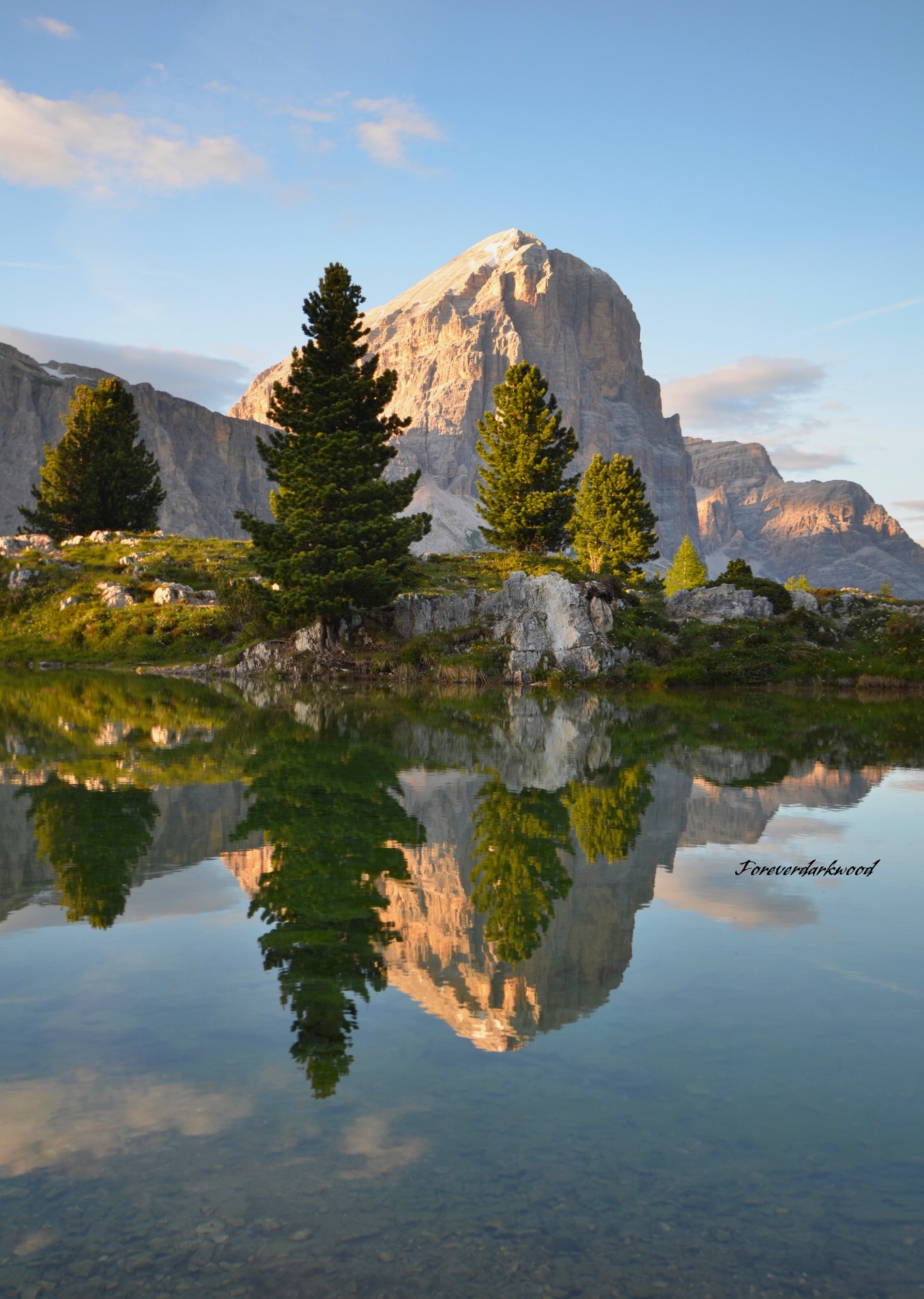 Tofana Rozes reflected ..