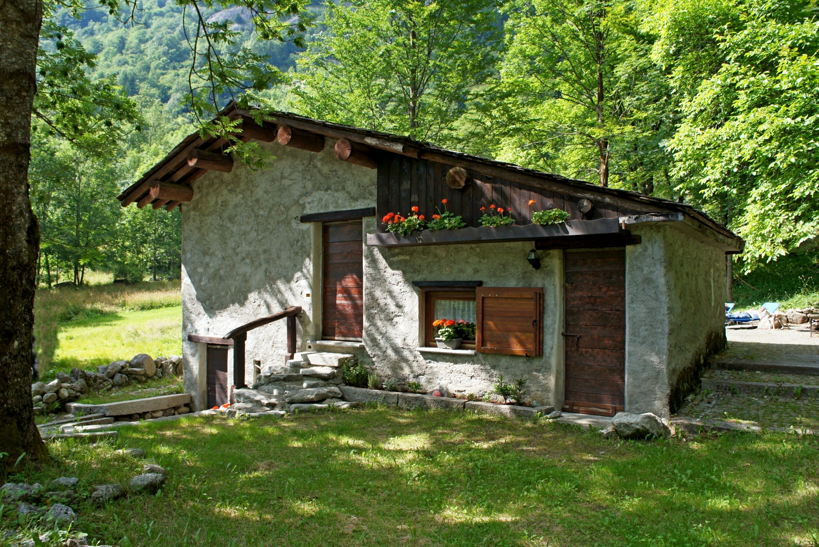 vieni c'è una casa  nel bosco.....