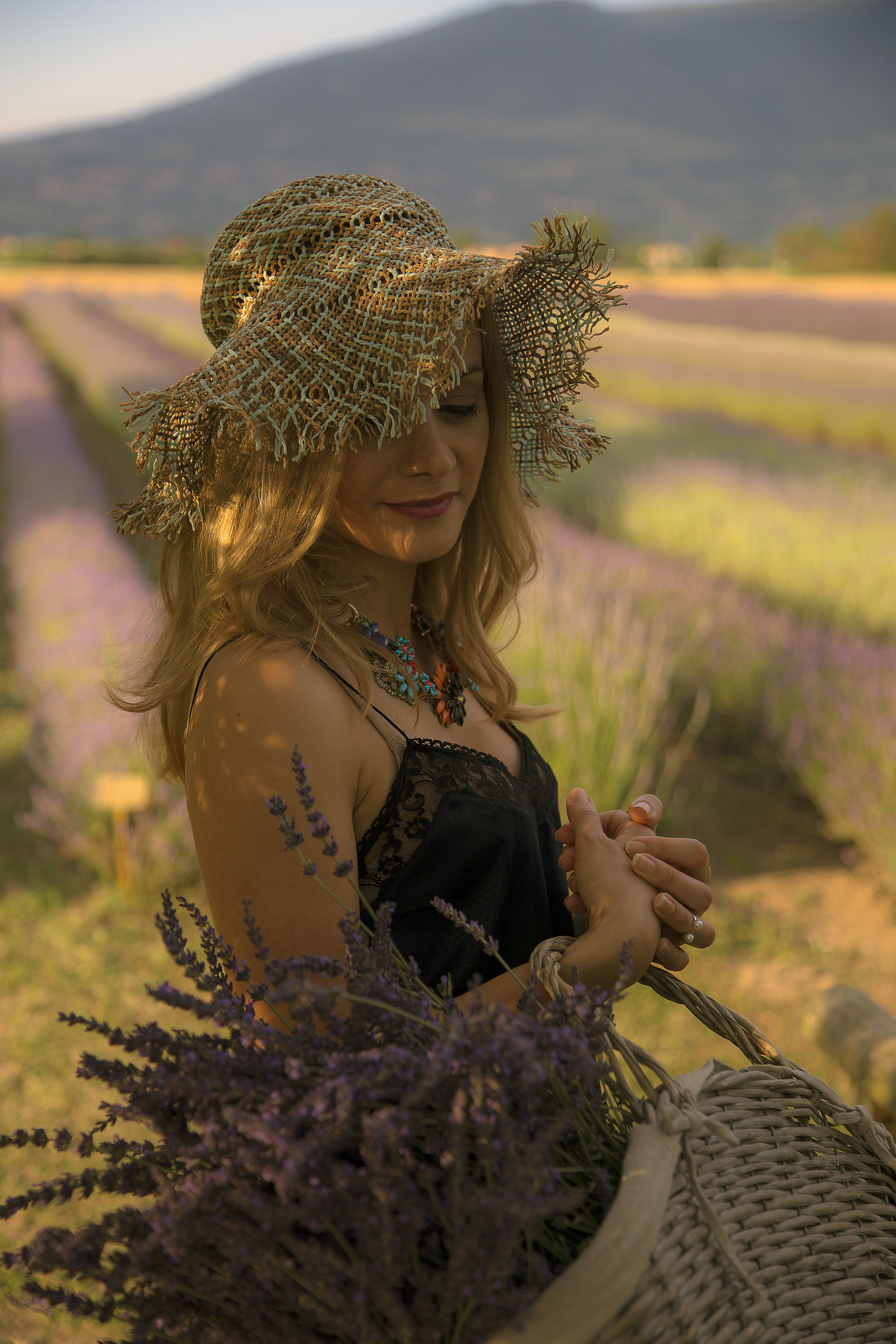 Lavanda... in secondo piano