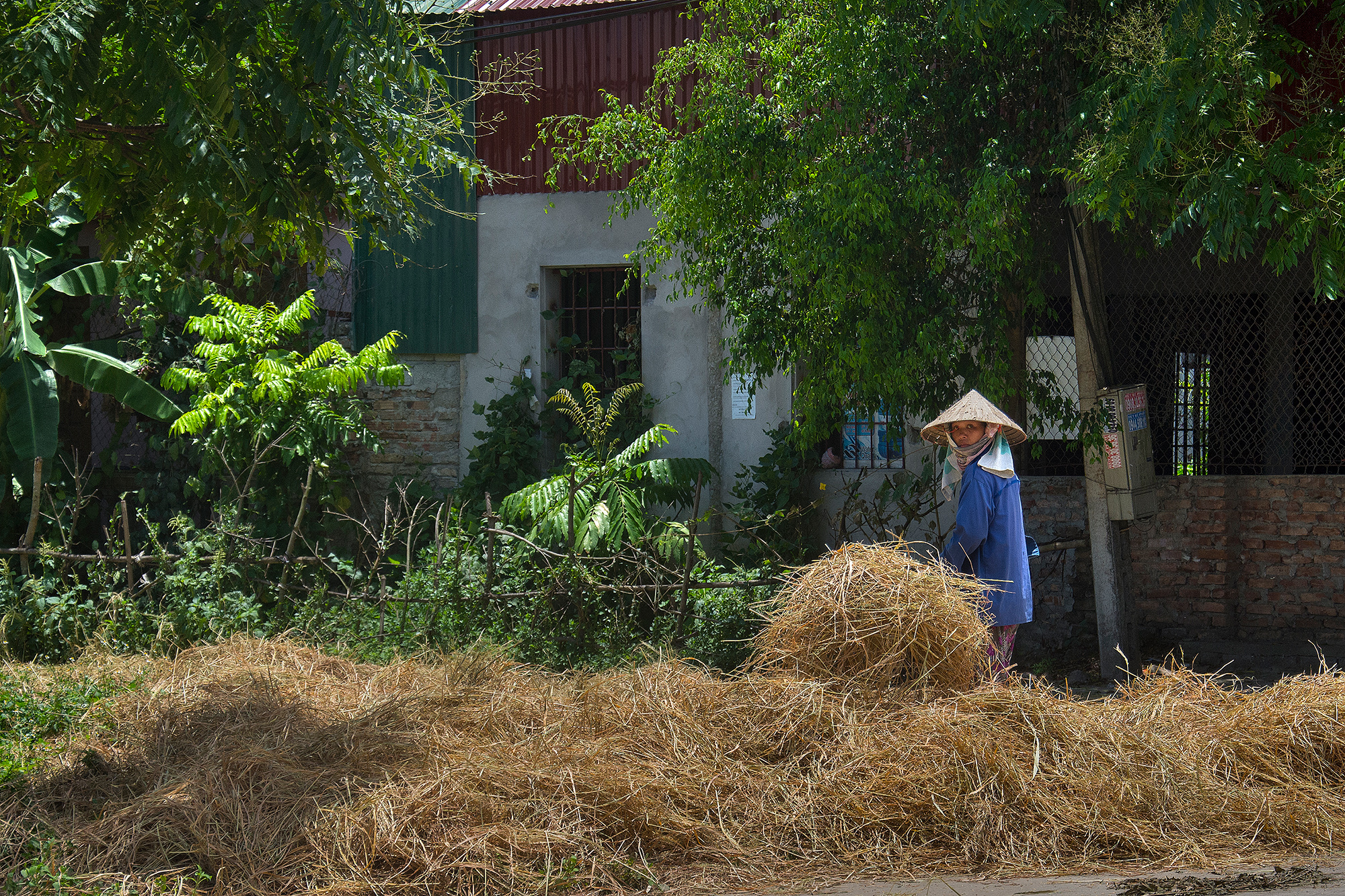 Hay Ninh binh