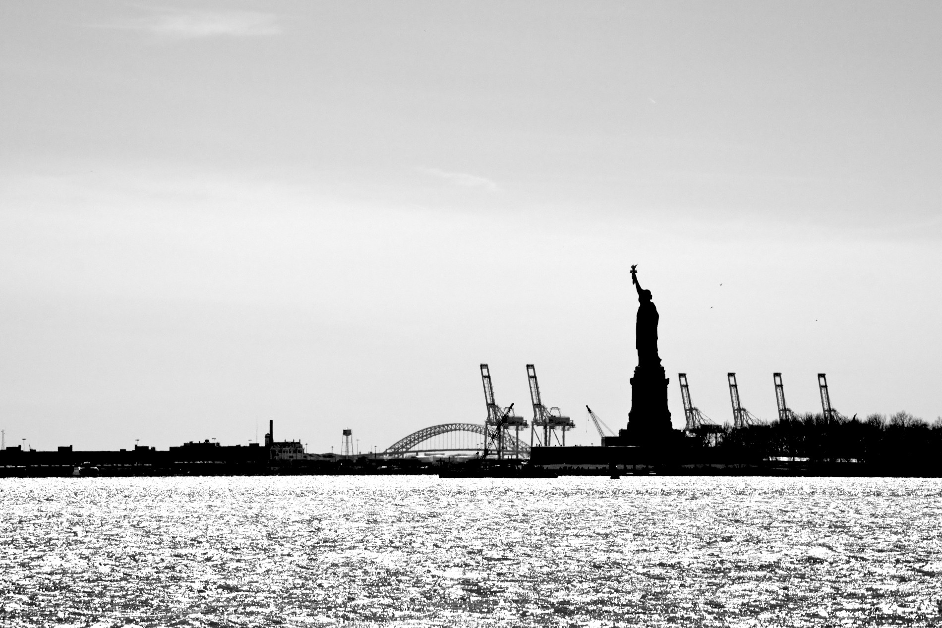 Liberty Silhouette