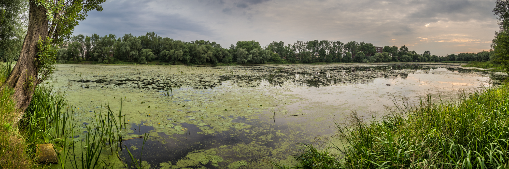 Fiume Olawa a Wroclaw