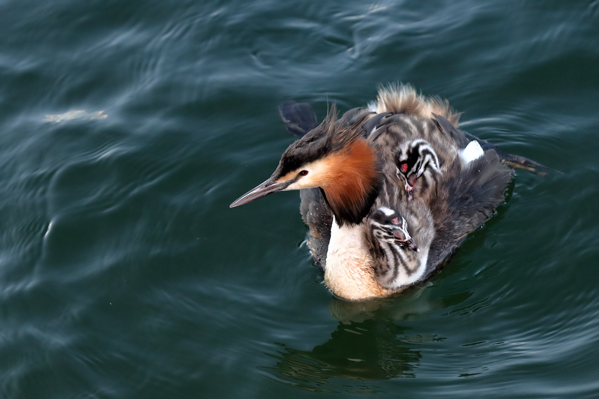 All aboard! off it goes :-)