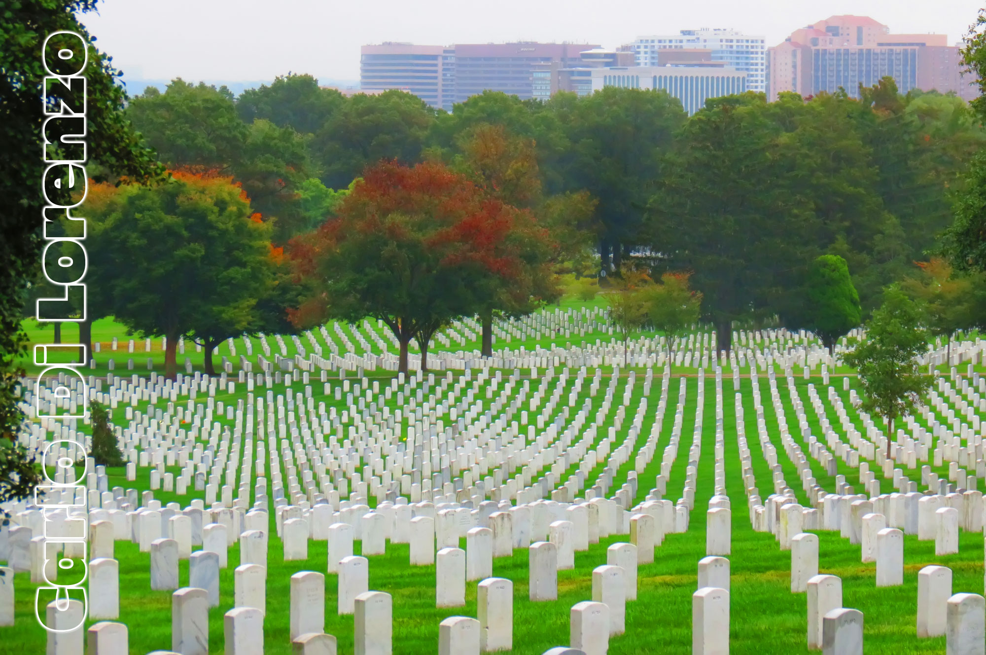 The immense Arlington Cemetery