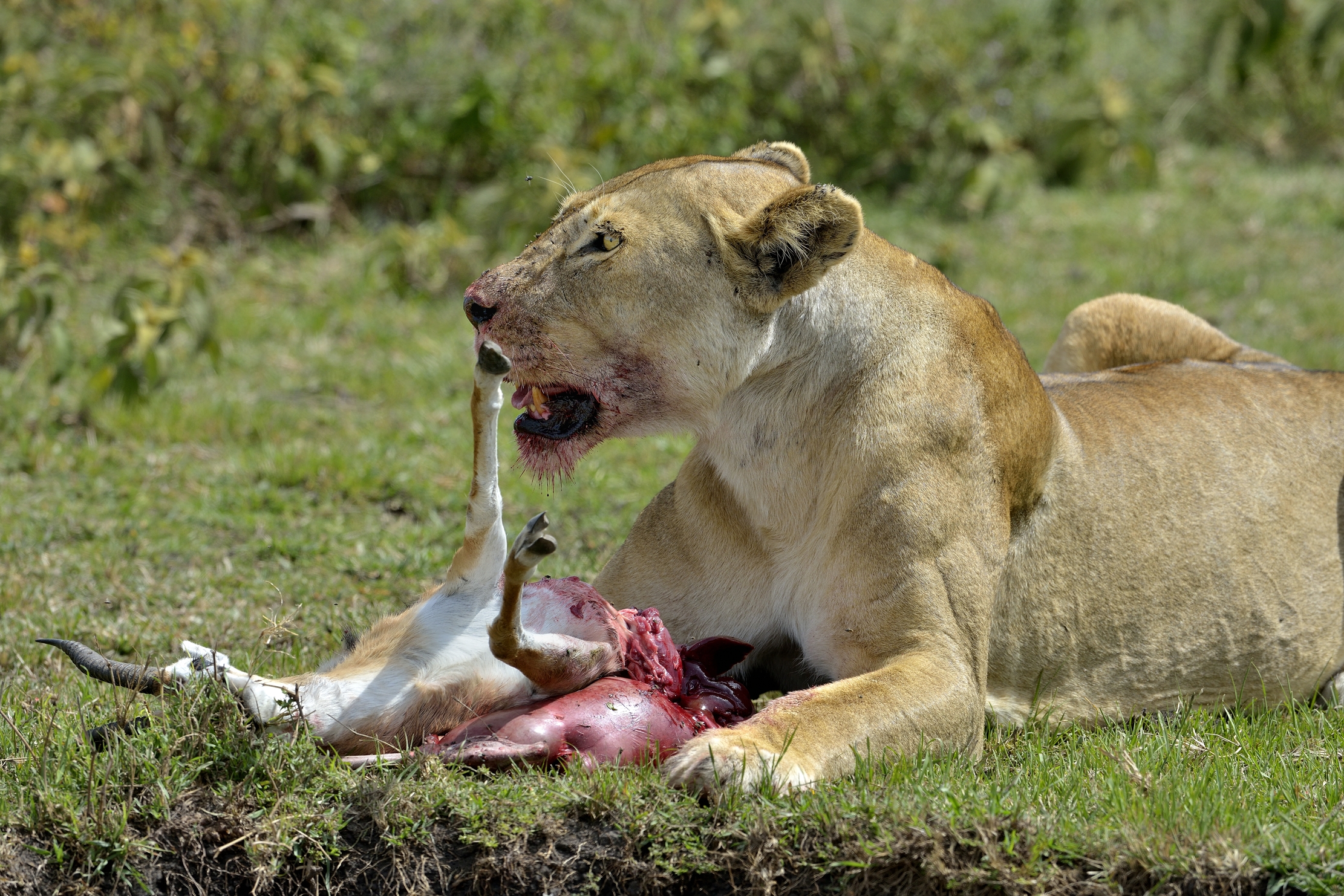 Tanzania 2015 - Breakfast