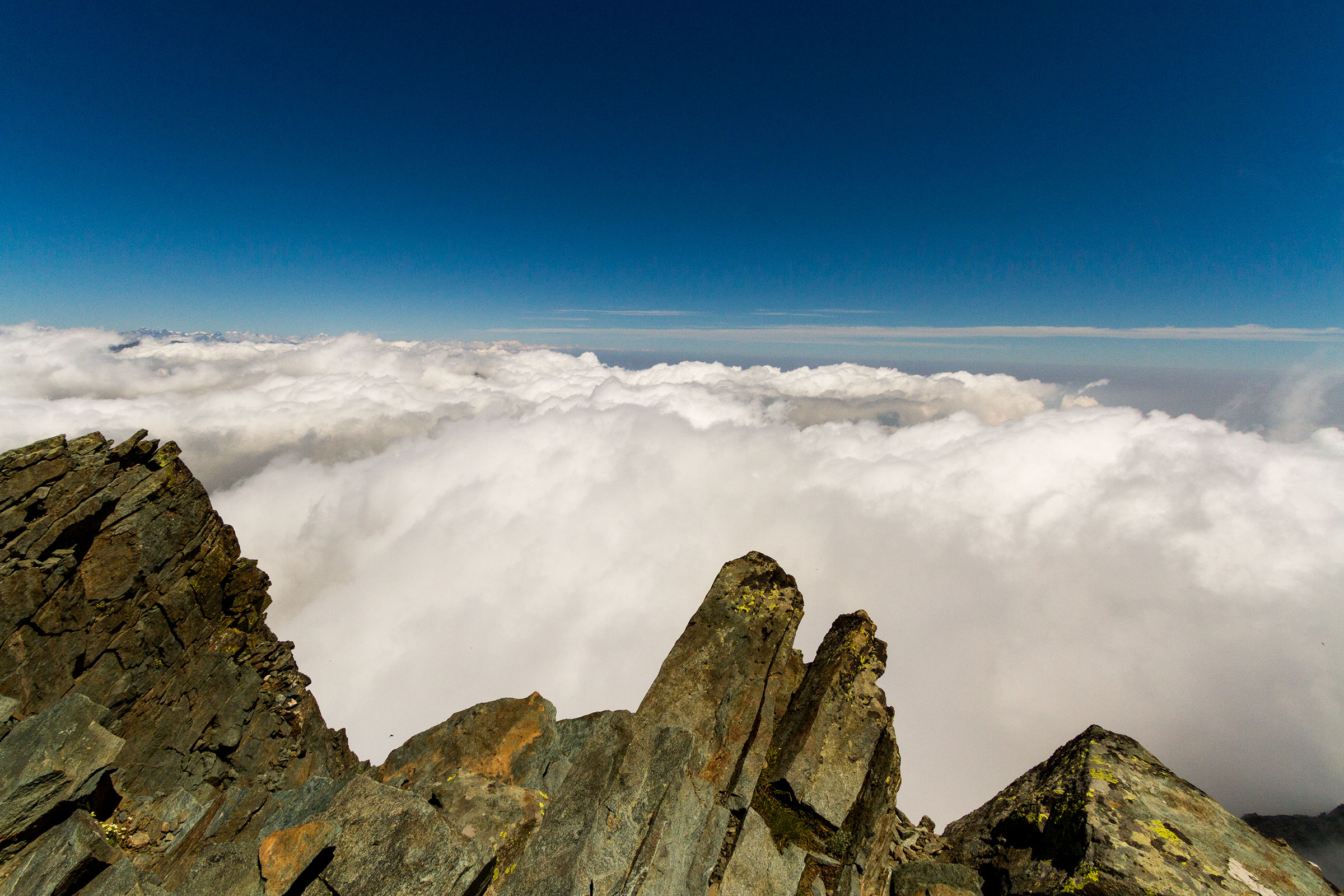 Dalla vetta del Viso Mozzo