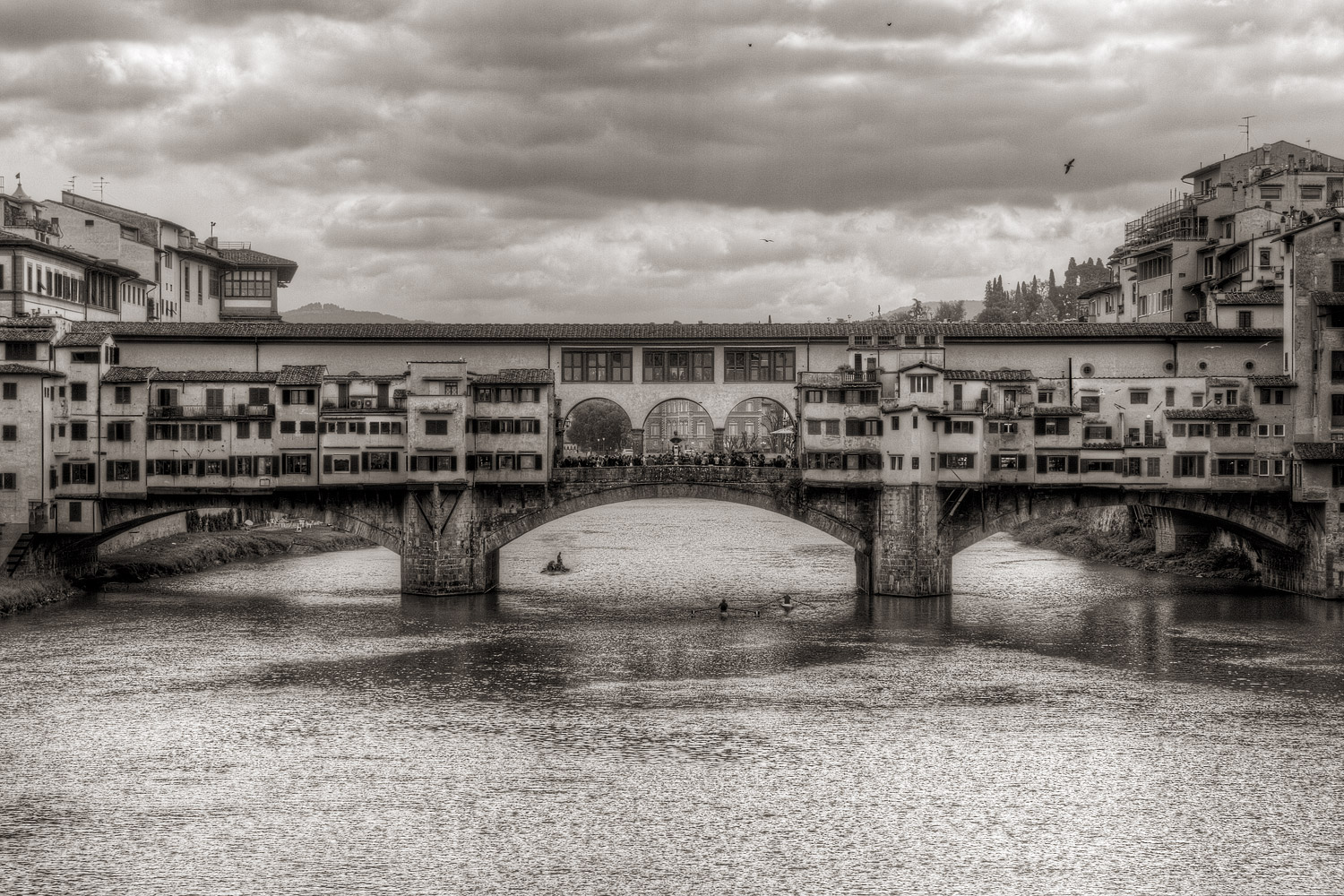Florence in B / W