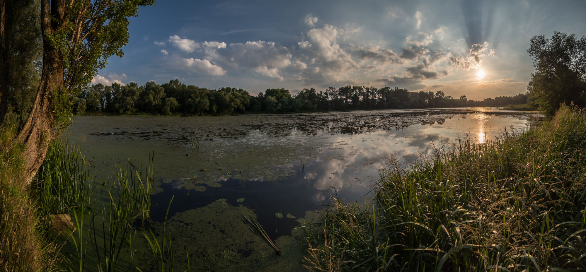 Fiume Olava a Wroclaw
