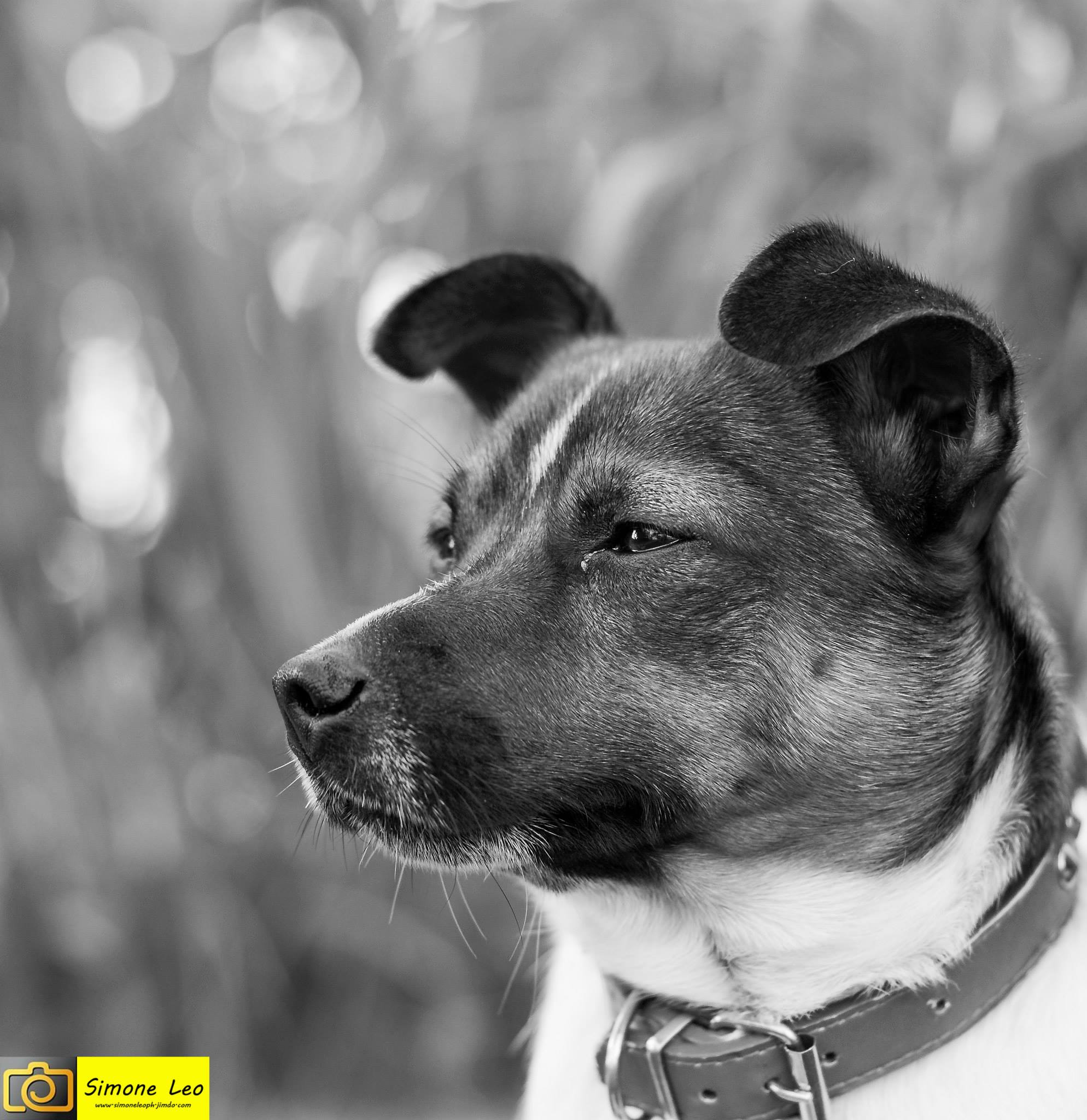 if you take a step you Sbrano ... :)