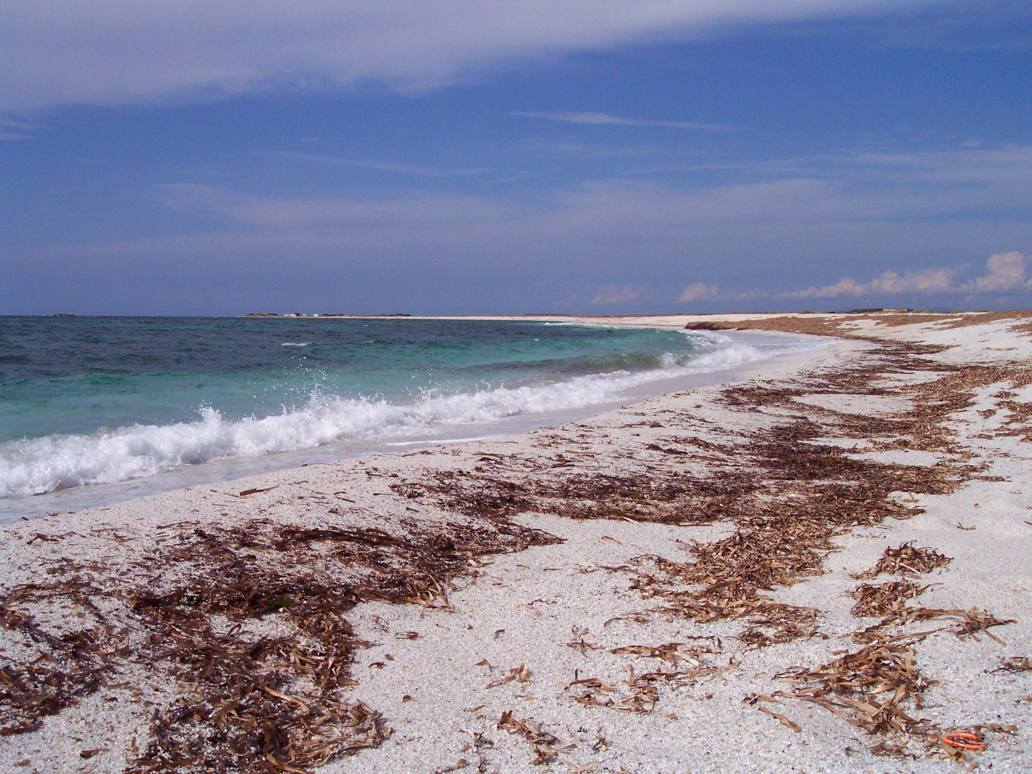 Is Arutas beach (sand and white quartz-Sardinia)