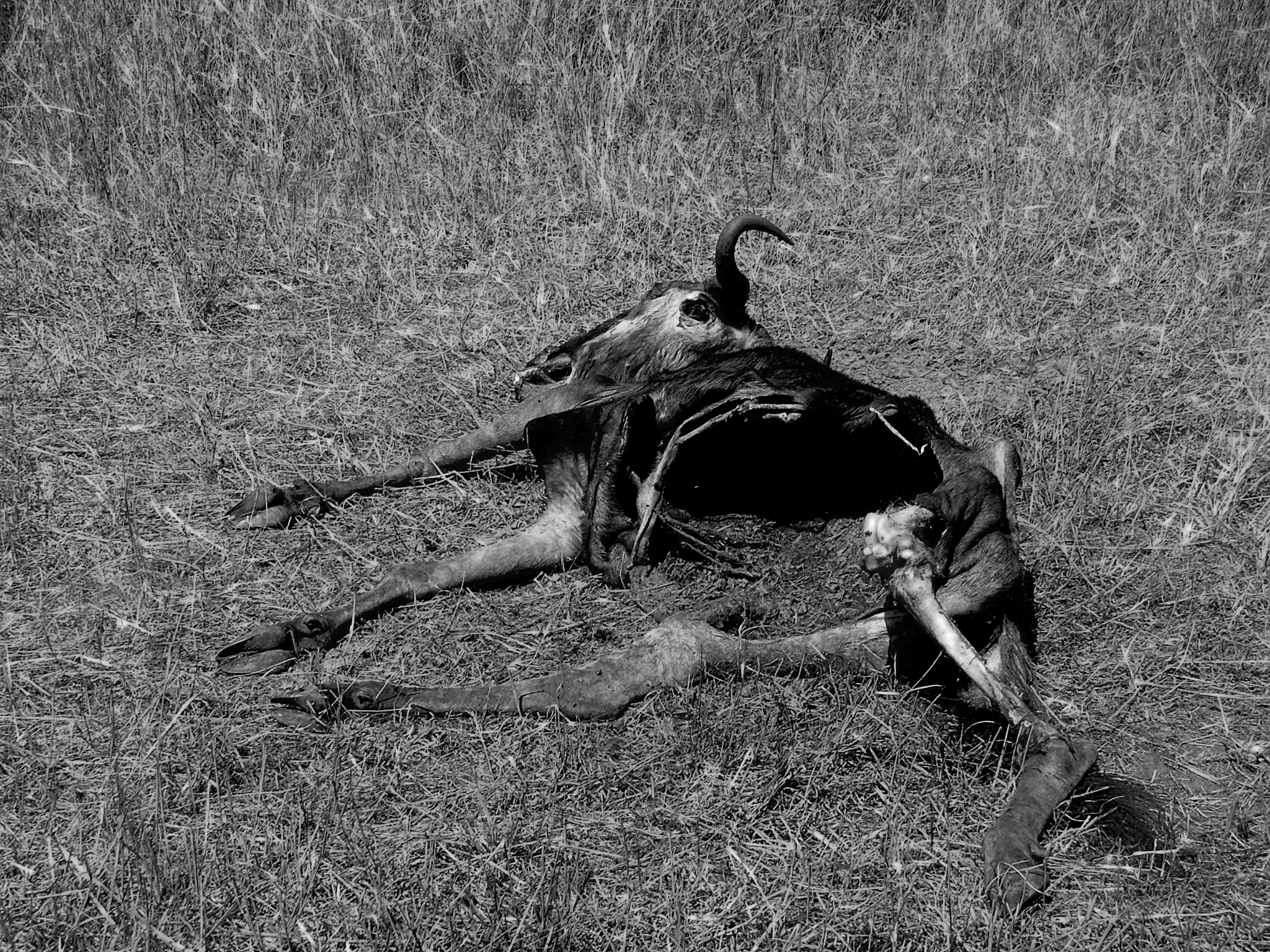 Feeling Empty ......