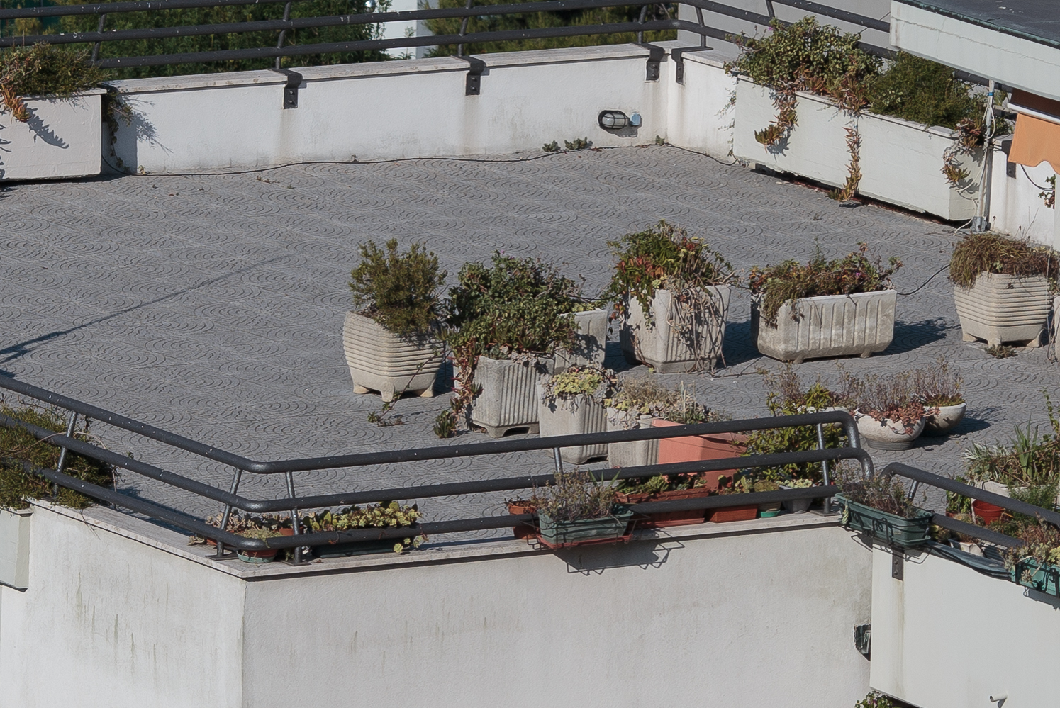 1DX+135L@f/5.6, 100%