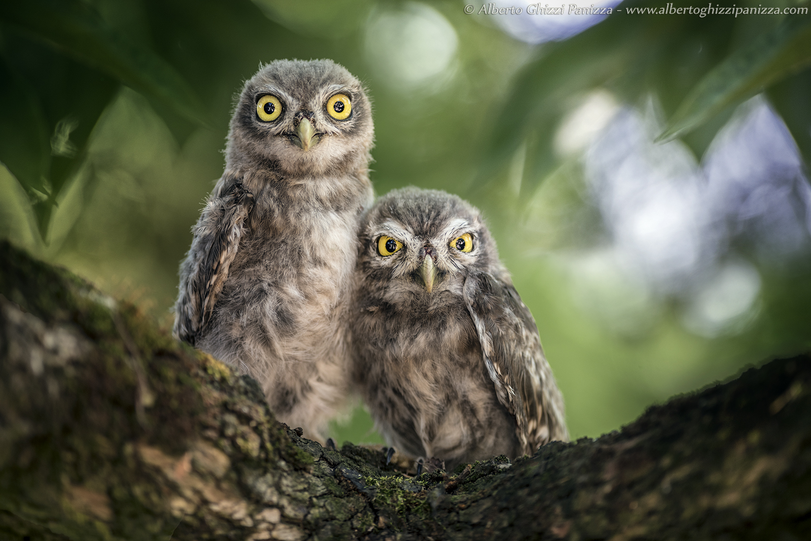 Hey brother, there's an endless road to re-discover