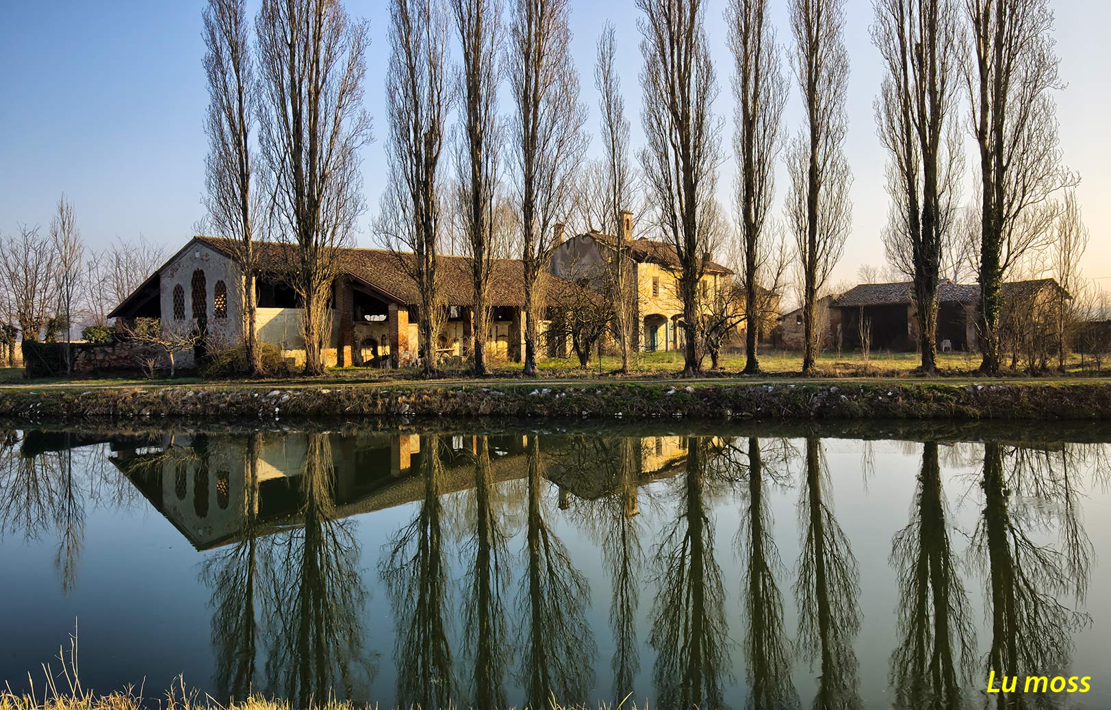 Beautiful, Vain, Abandoned.