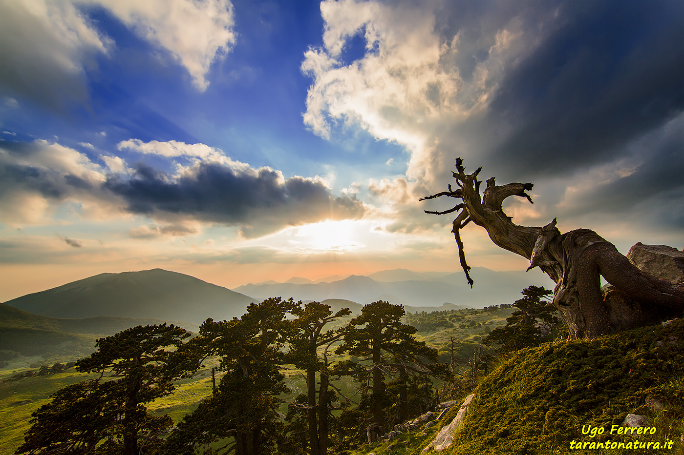 Tramonto tra i loricati