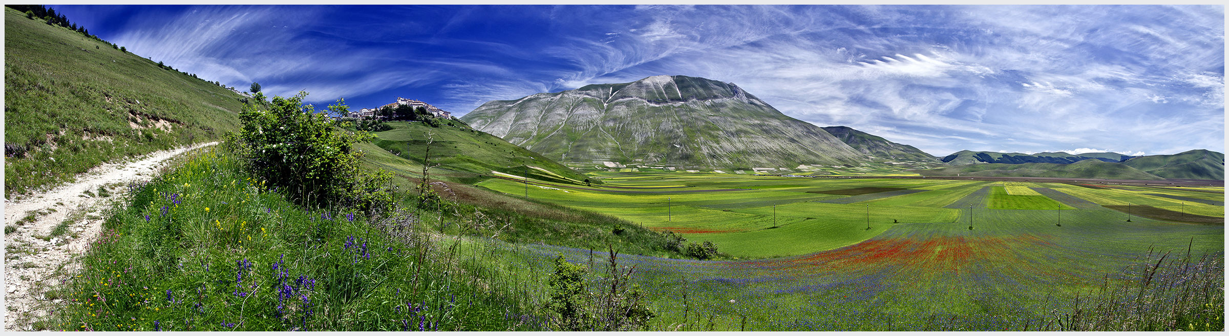 Piana Castelluccio (Fioritura Fine Giugno 2015)