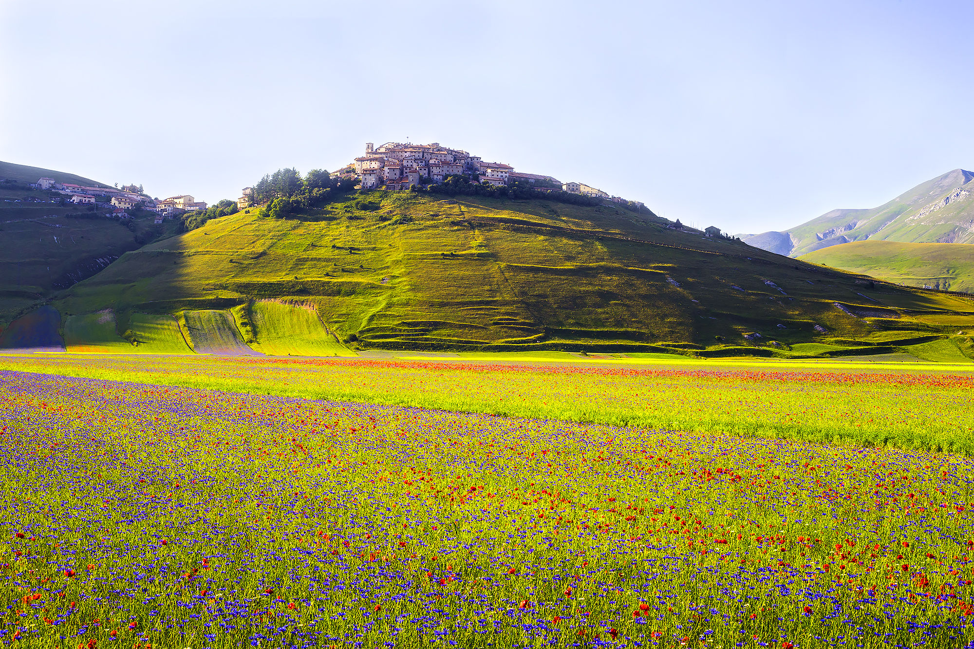 Castelluccio fioritura 2015
