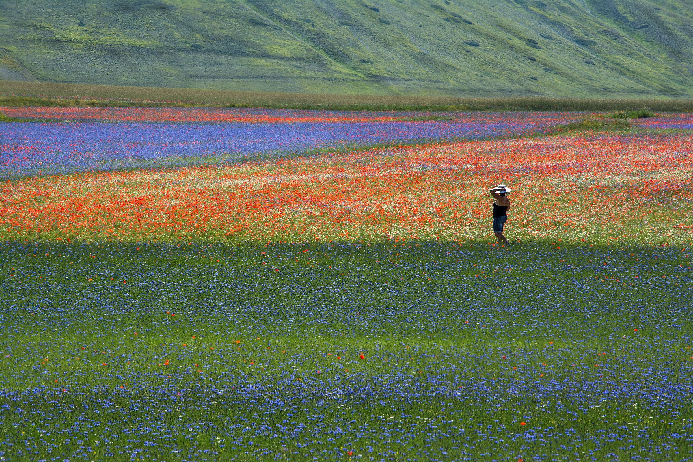 Castelluccio (05/07/15)