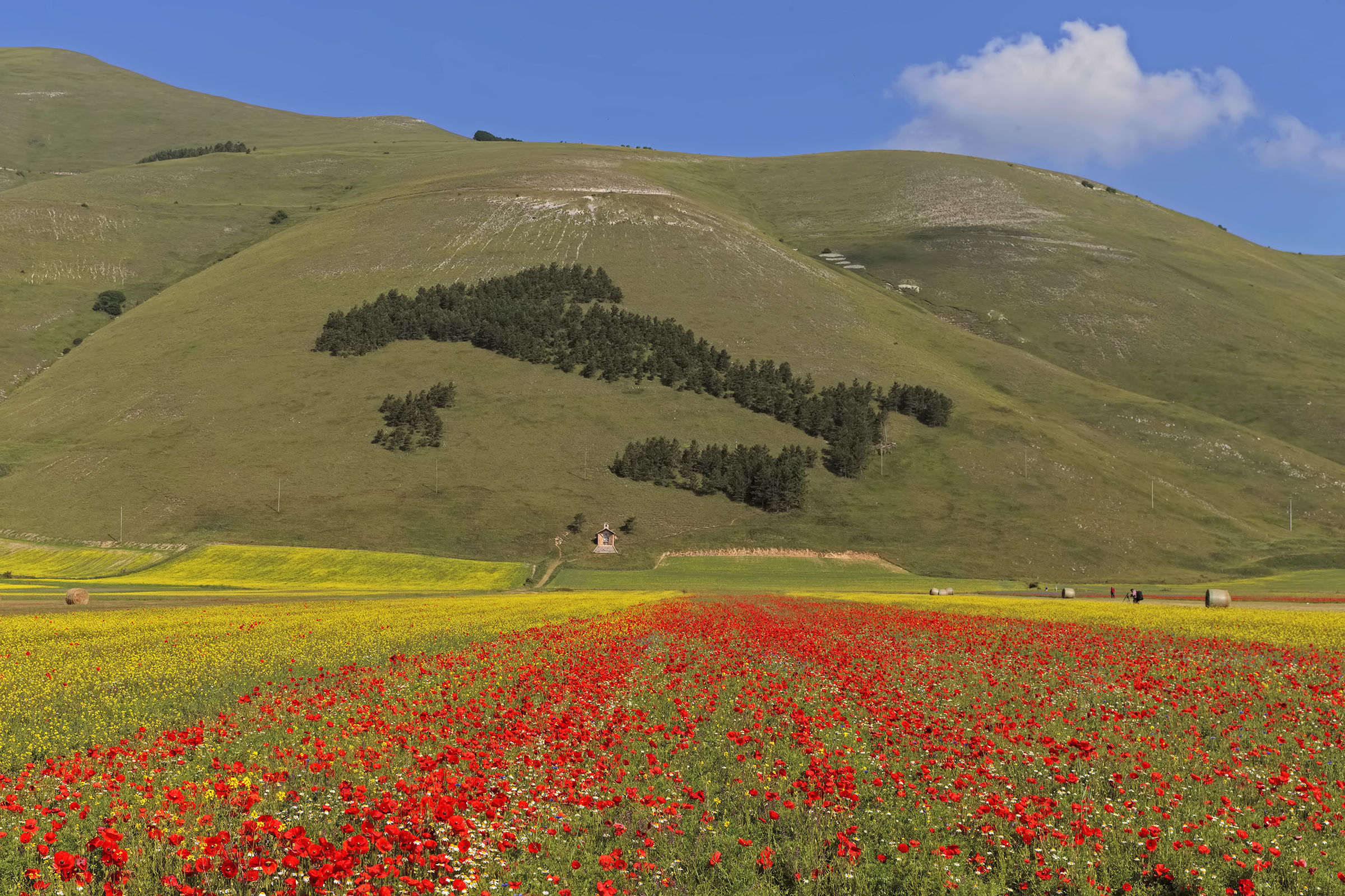 l'iTALIA DI castelluccio