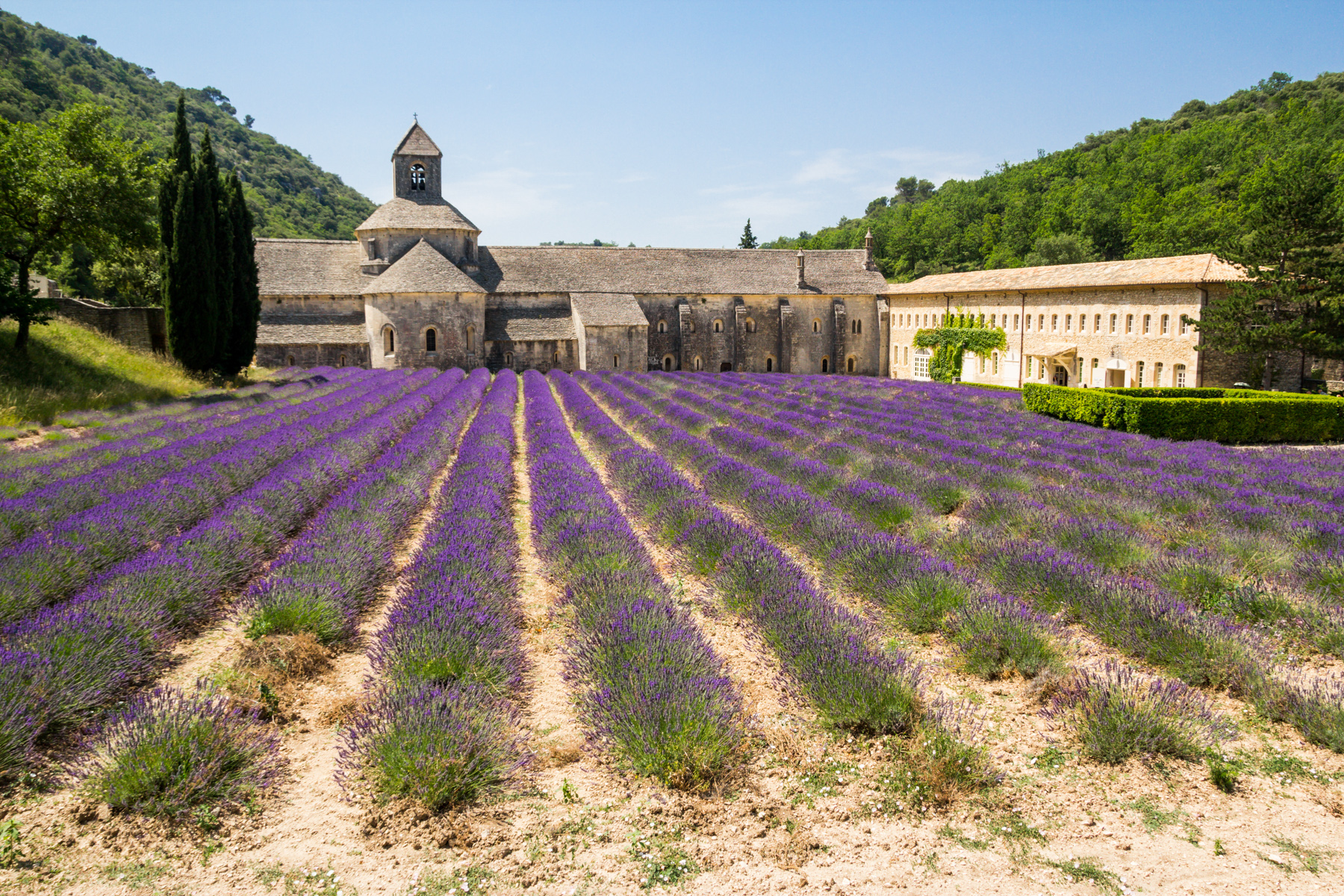 Abbey of Sénanque
