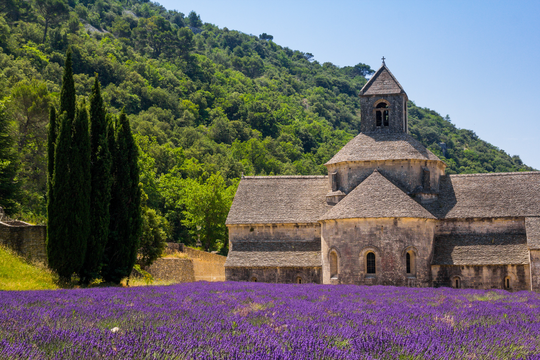 Abbey of Sénanque