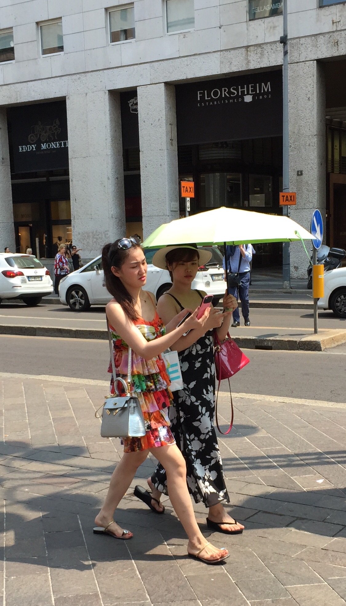 Butterfly in S. Babila