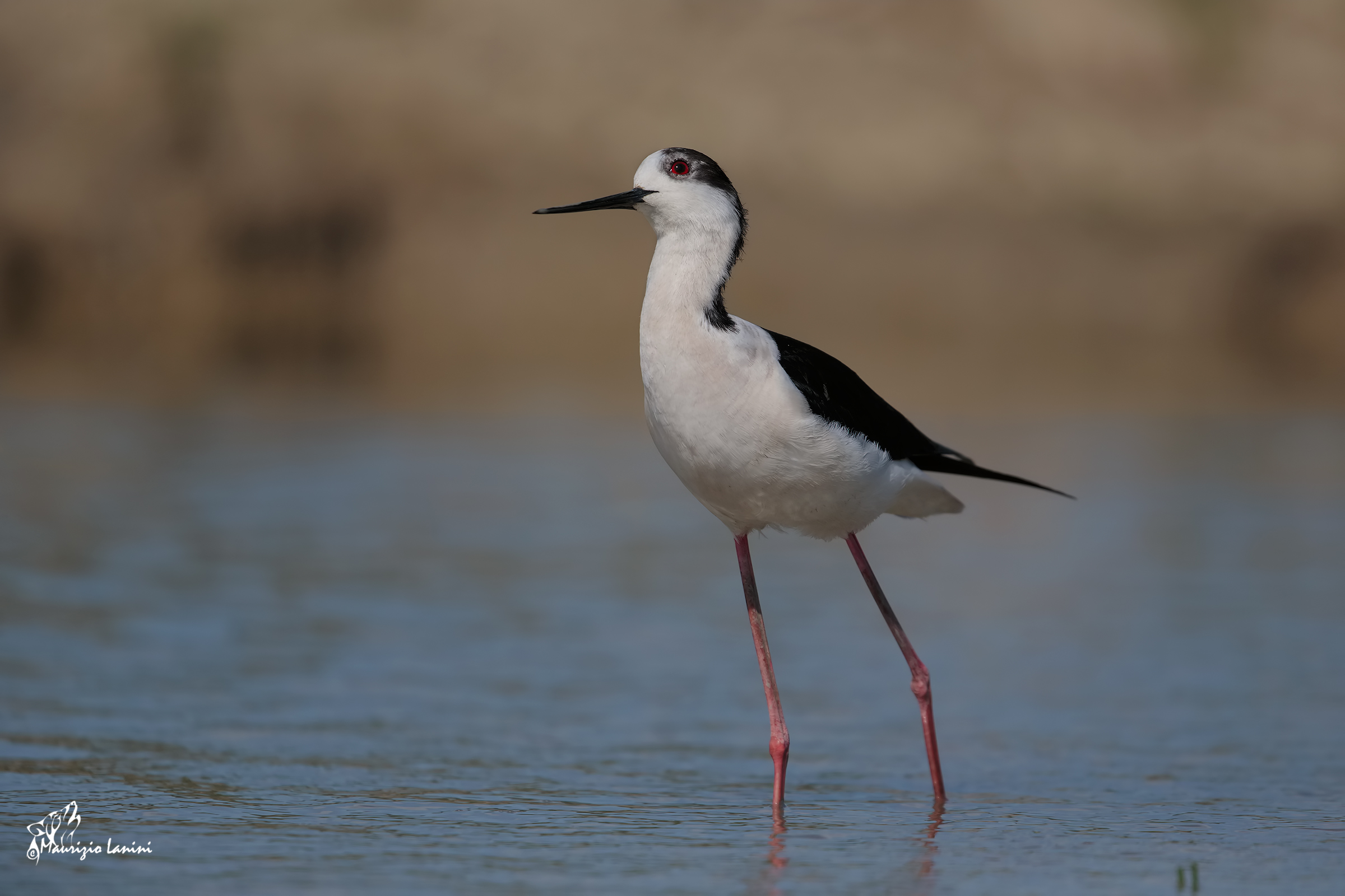 A look to the sky (only HD)