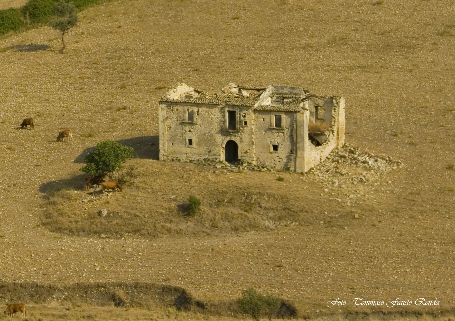 Mineo. Rudere Campestre