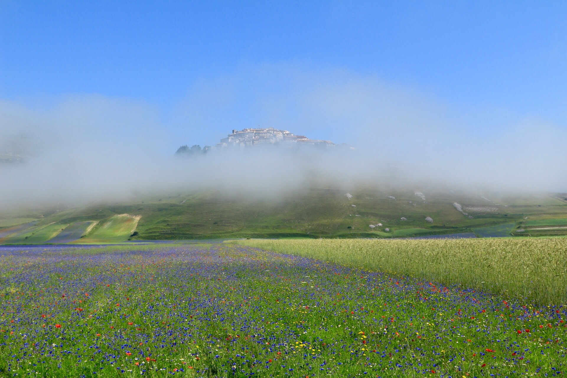 Castelluccio in the fog