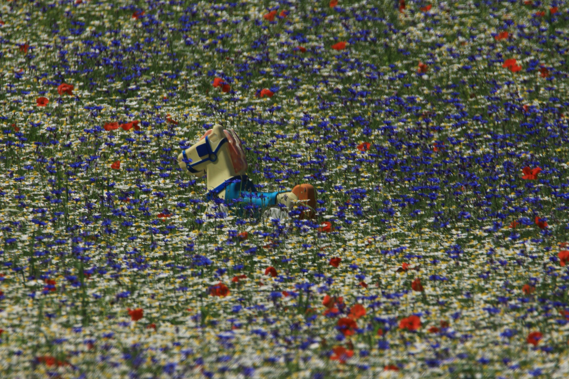 You can find everything.