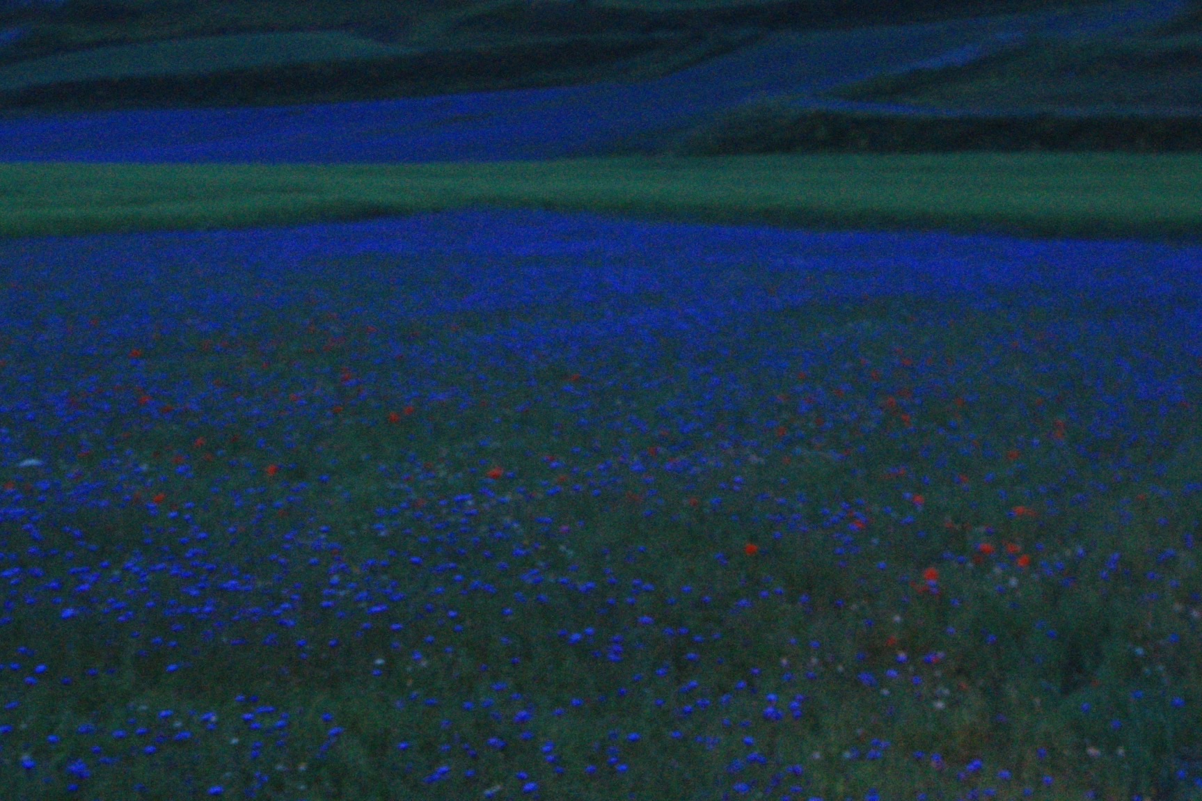 Acquarello di notte.