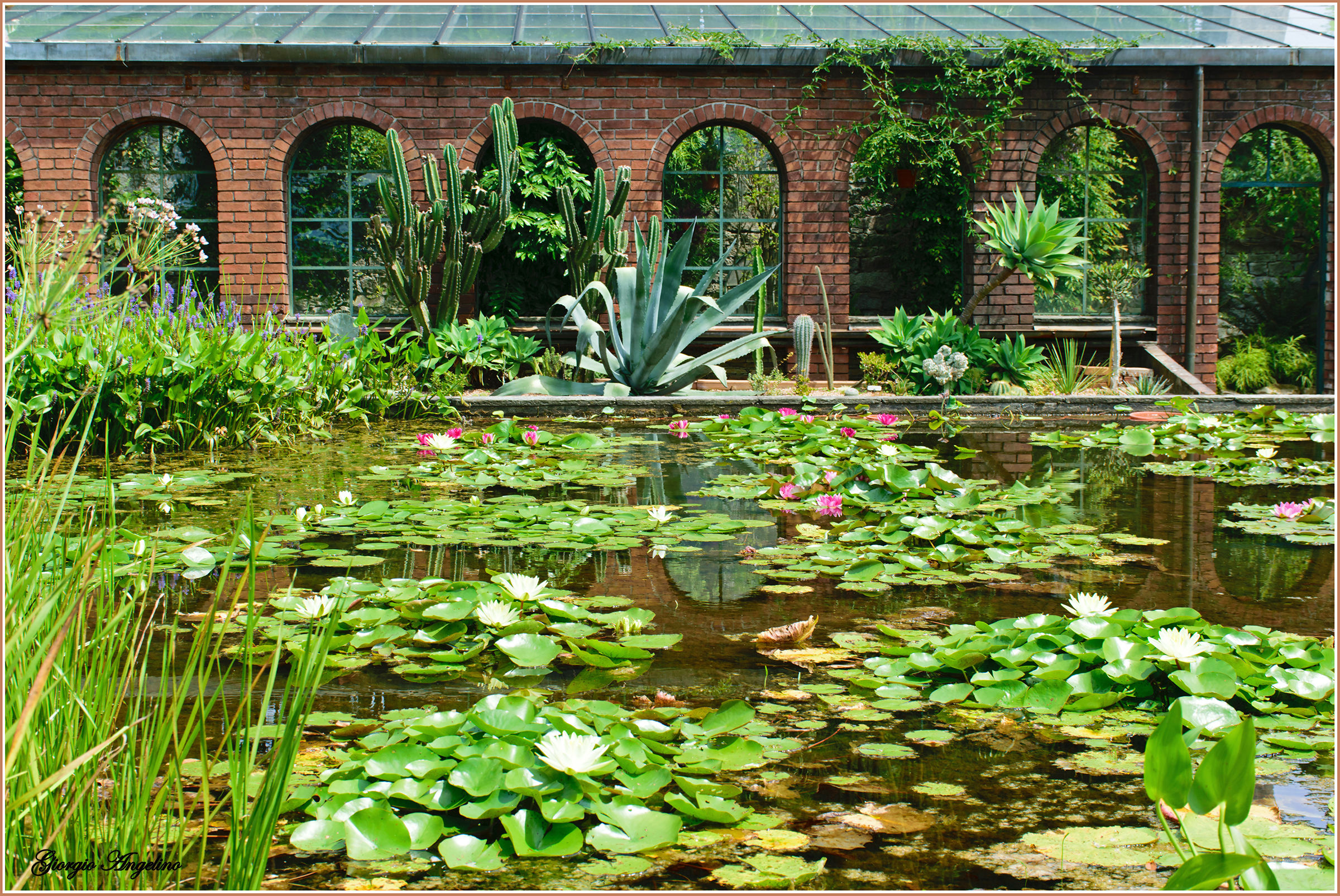 The colors of Villa Taranto