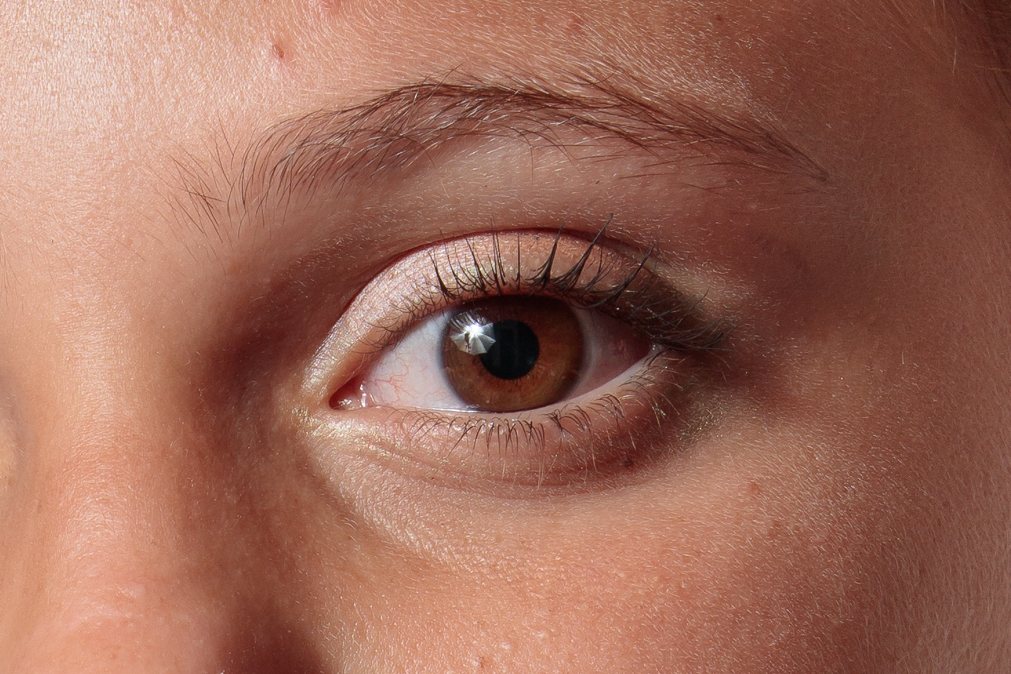 5Dsr 100iso crop100%