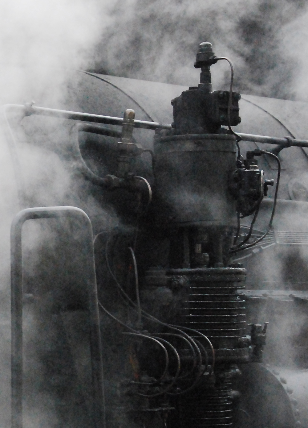 sembrava un mostro strano