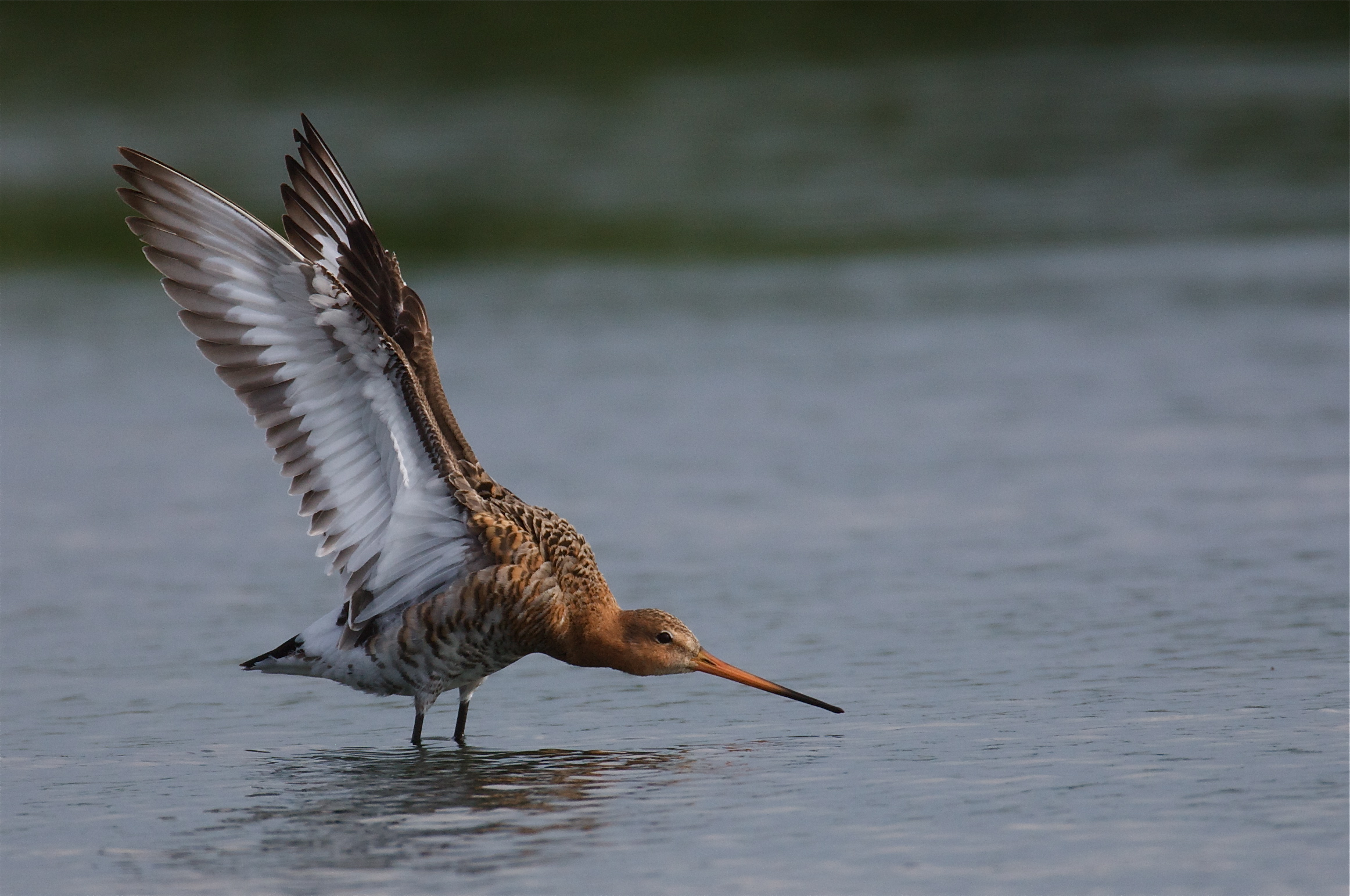 Wow how tiring maybe tone